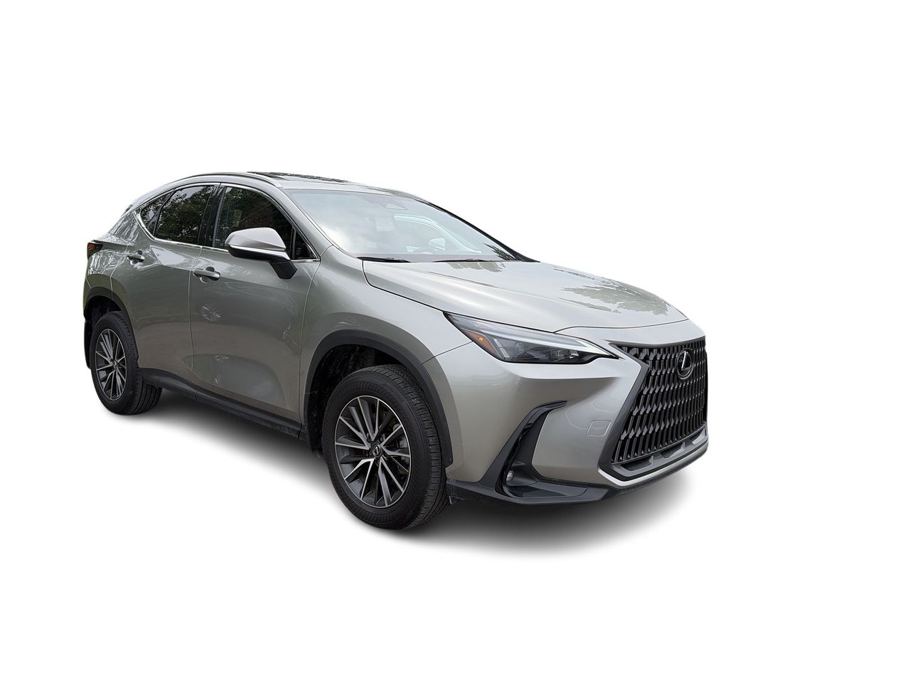 2025 Lexus NX 450h+