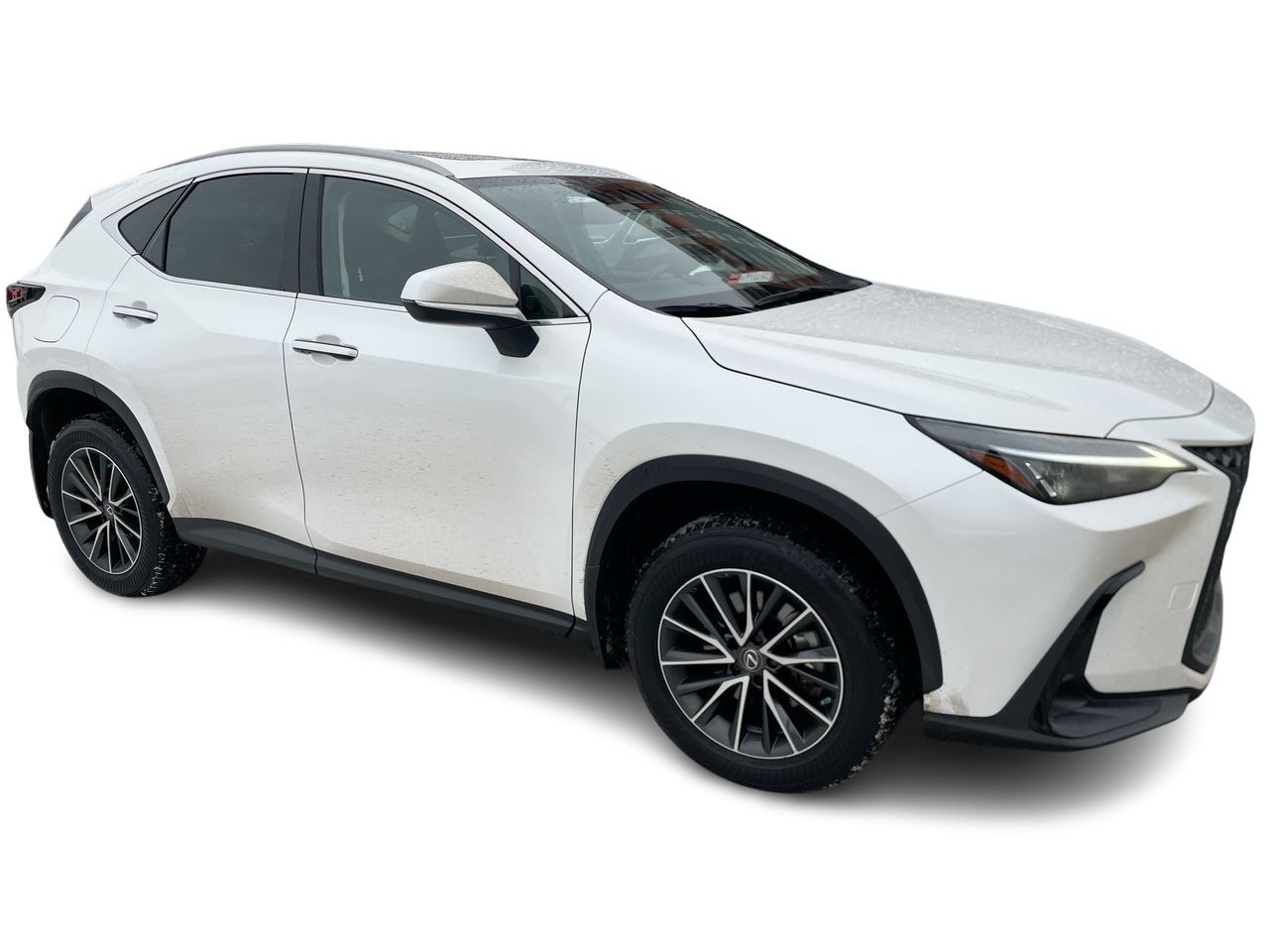 Lexus NX 450h  2023 à Laval, Québec