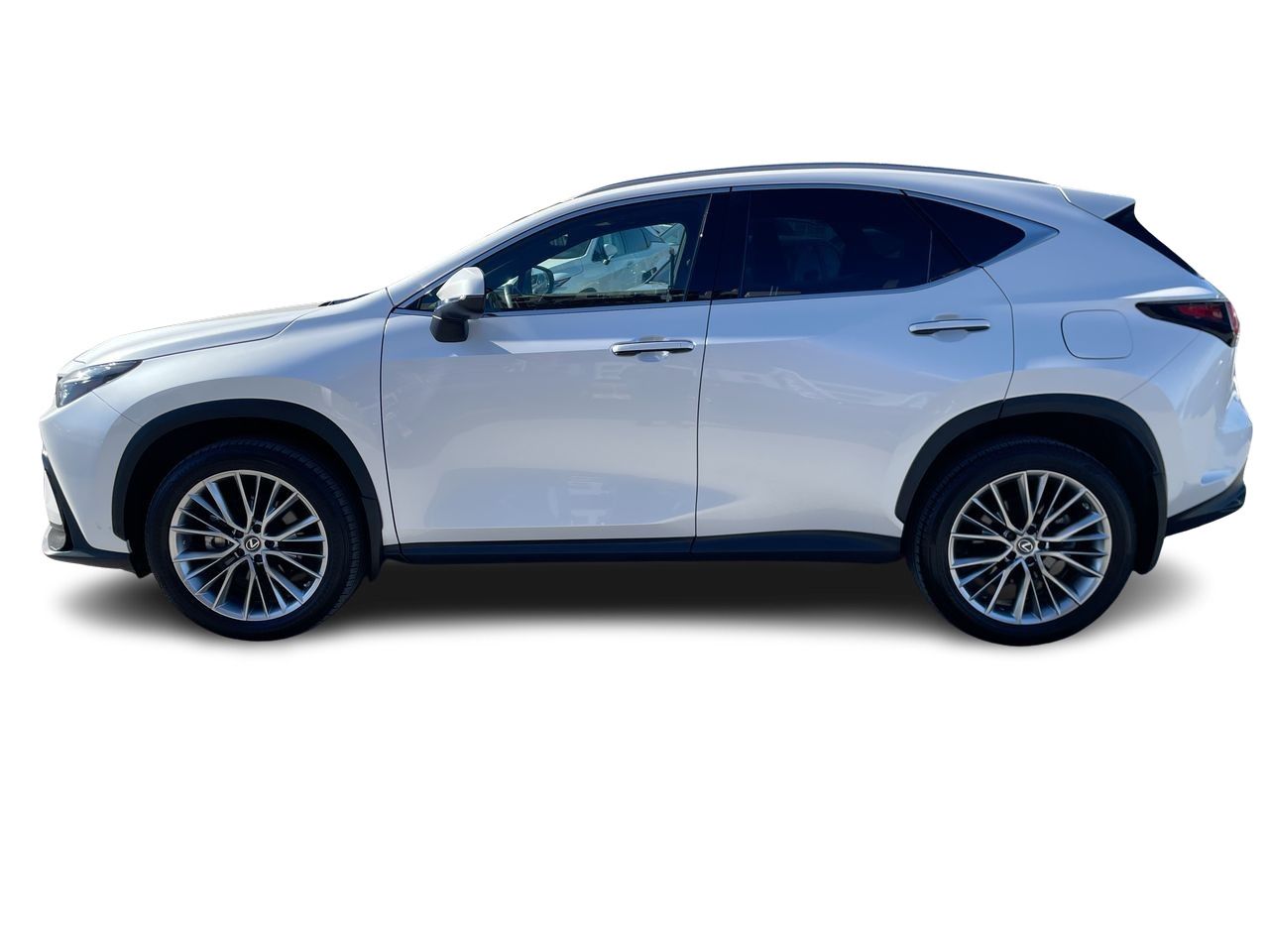 Lexus NX  2022