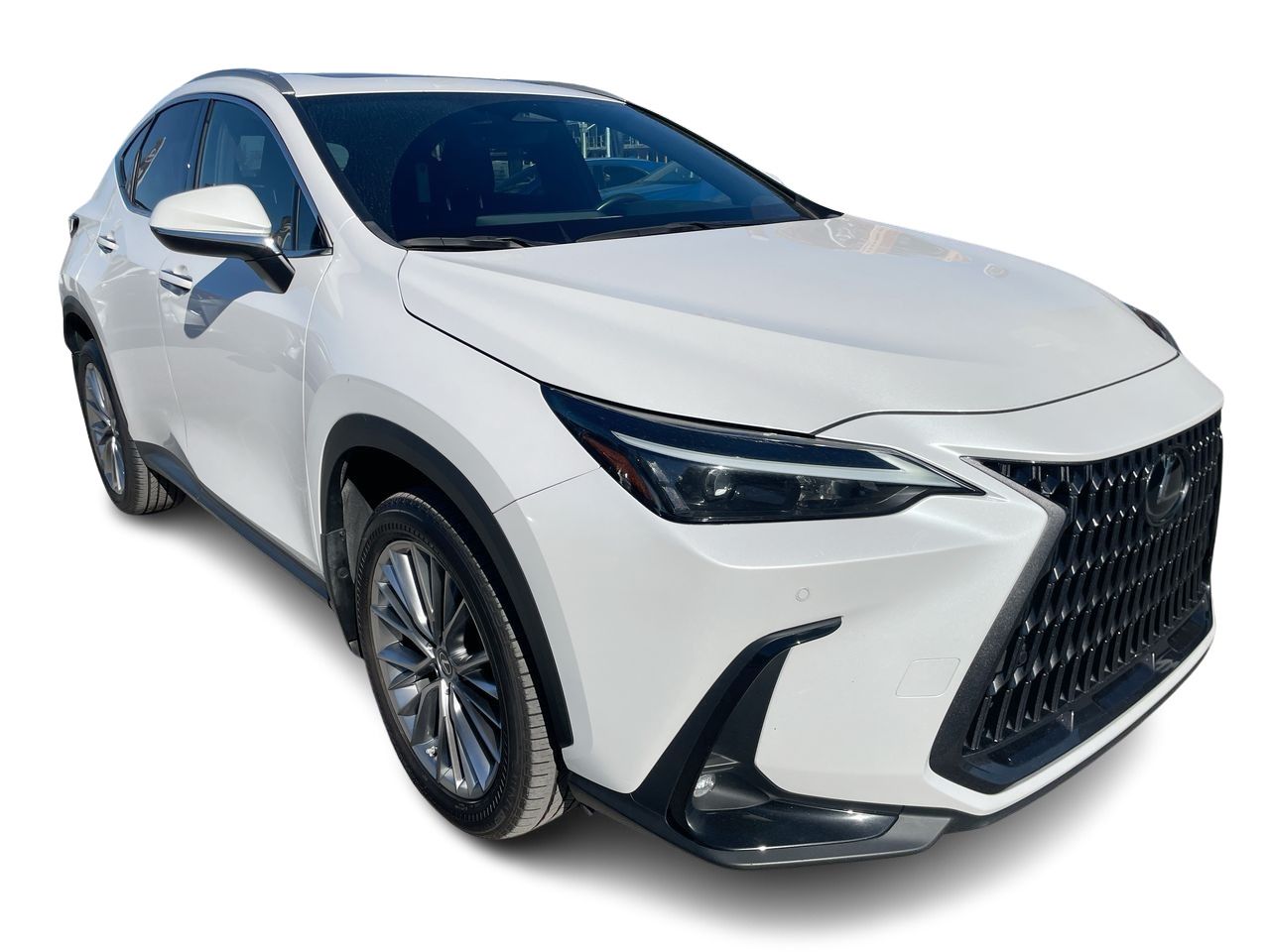 Lexus NX  2022
