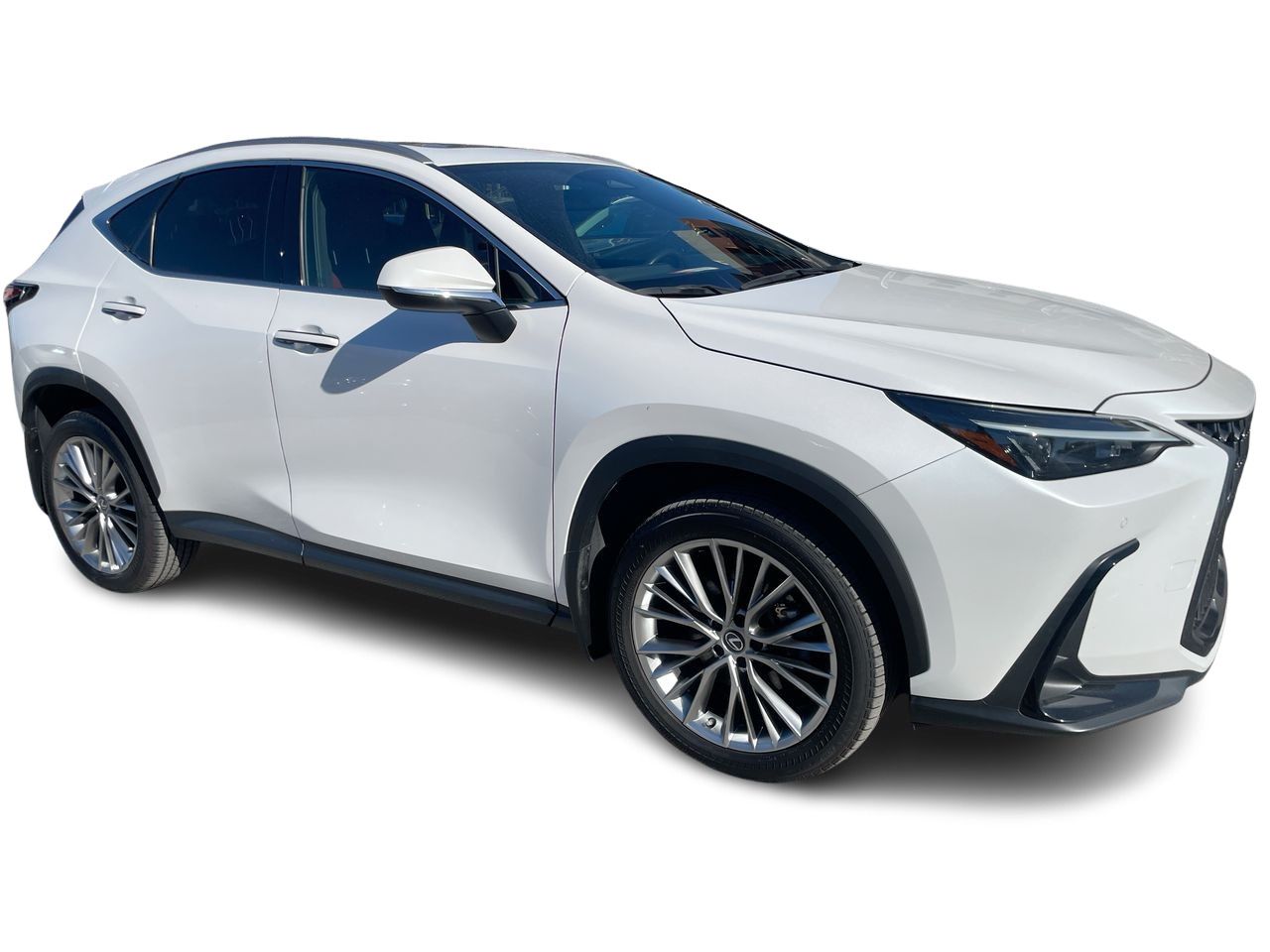 Lexus NX  2022