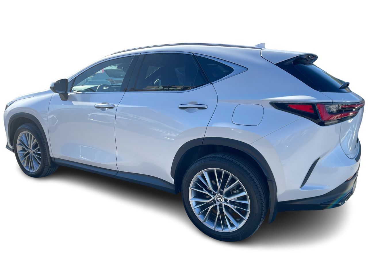 Lexus NX  2022