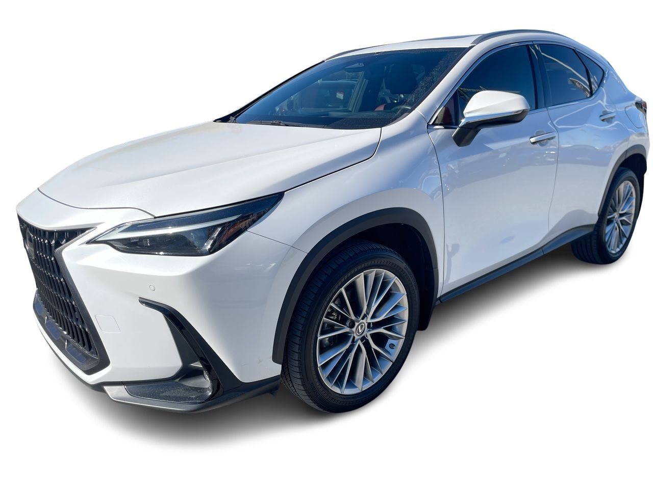 Lexus NX  2022