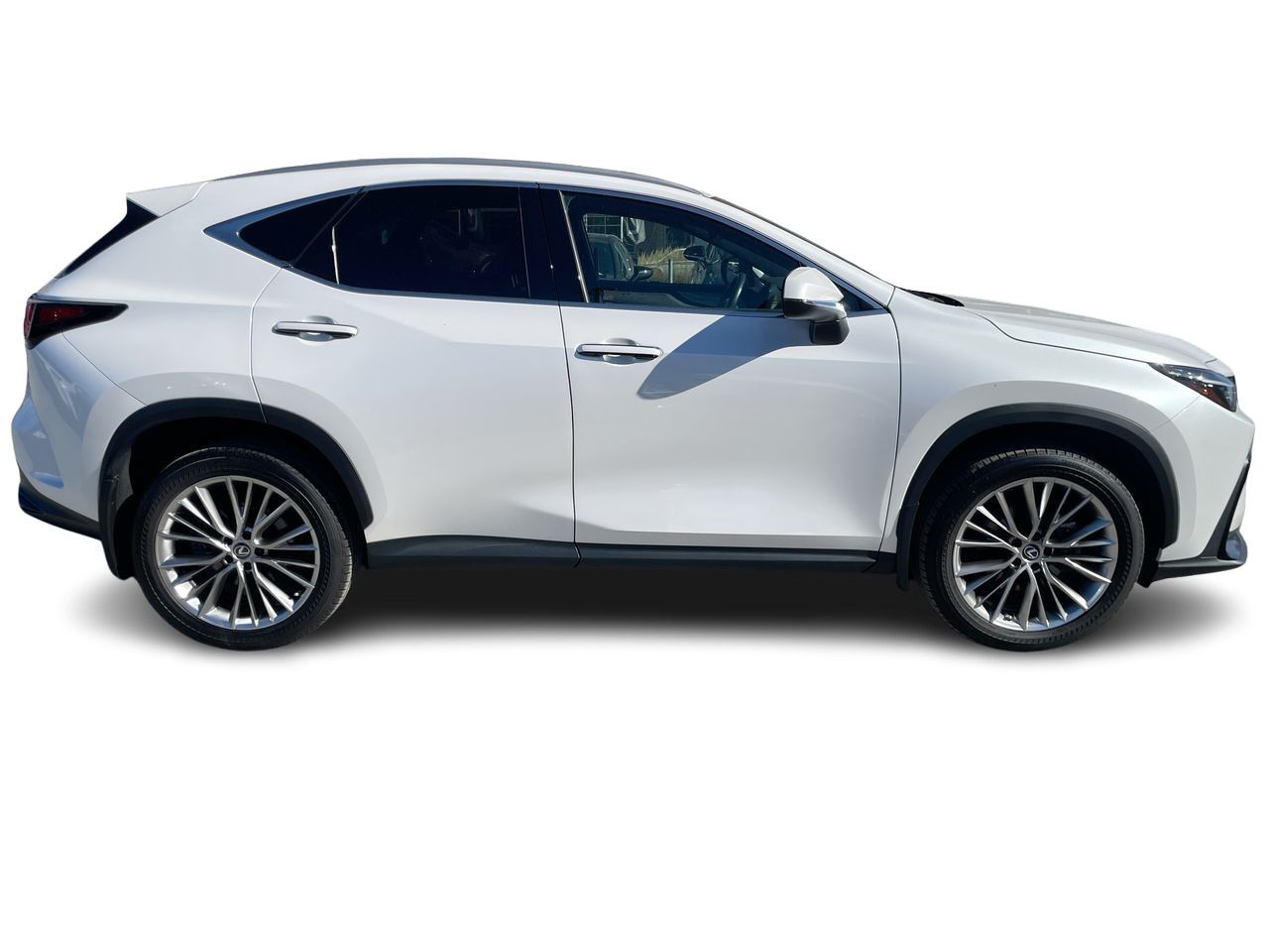 Lexus NX  2022