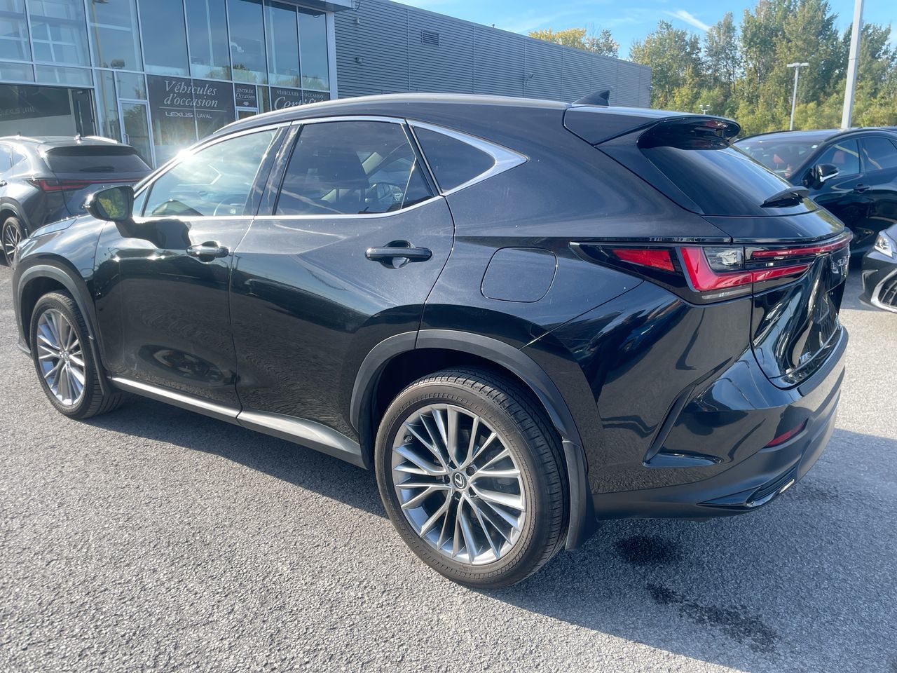 Lexus NX  2022