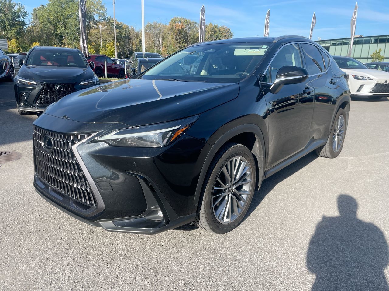 Lexus NX  2022