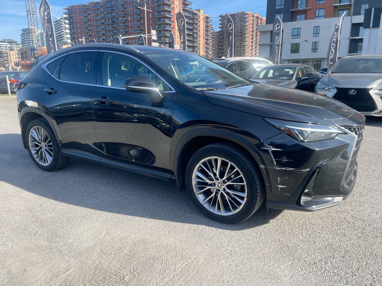 Lexus NX  2022