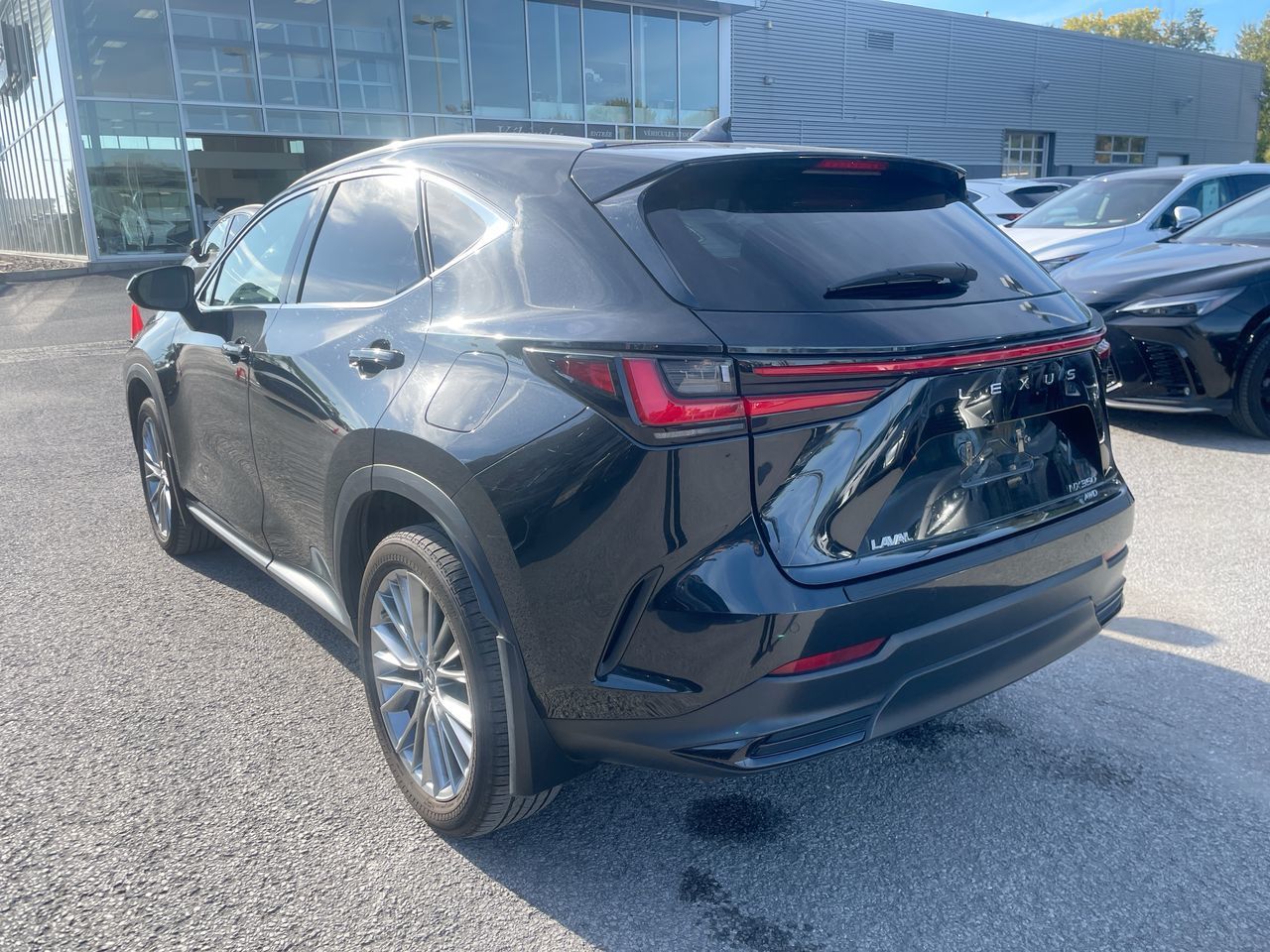 Lexus NX  2022