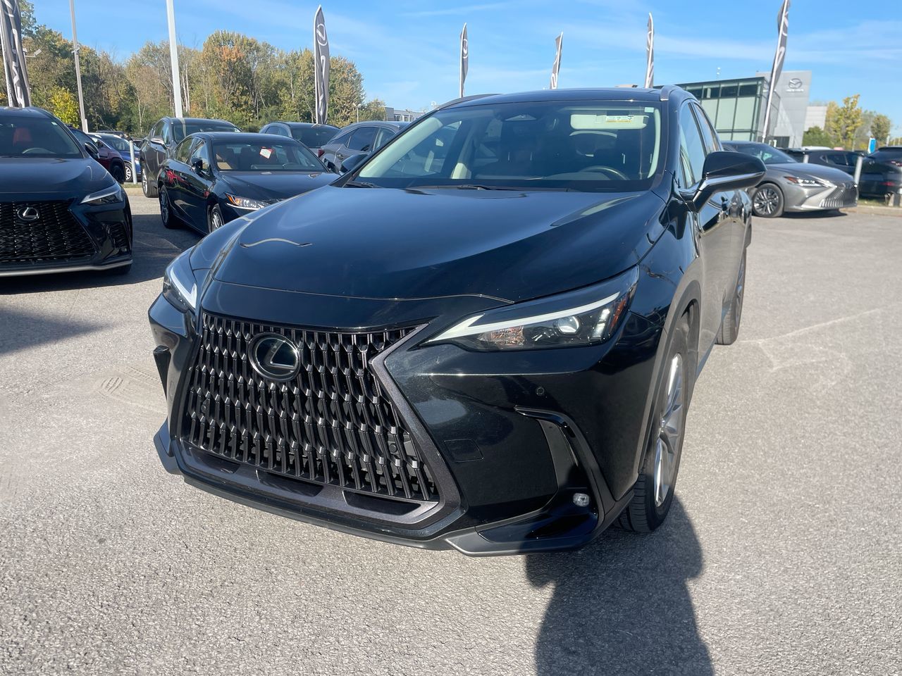 Lexus NX  2022