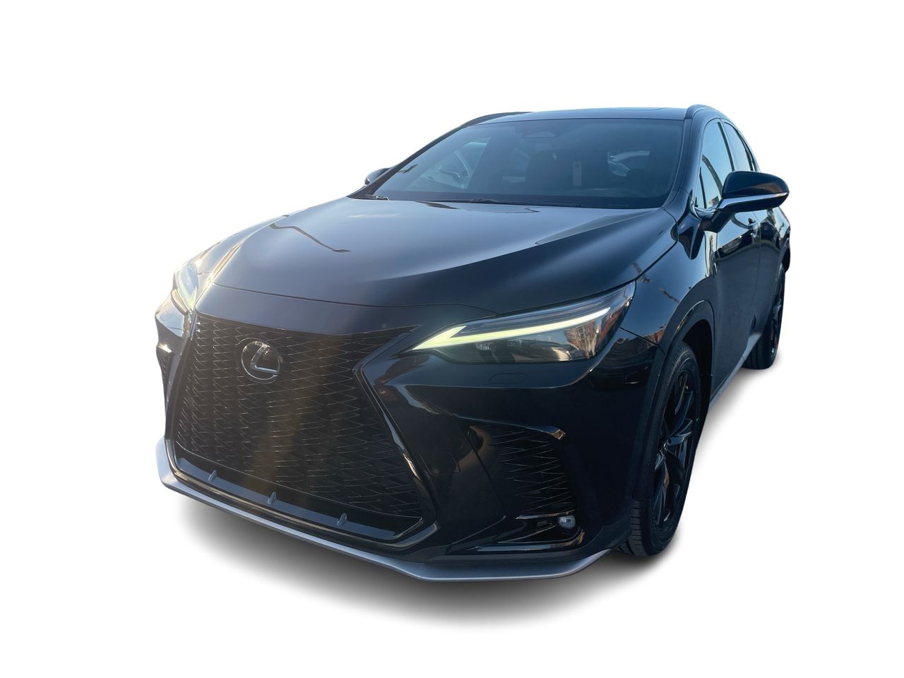 Lexus NX  2022