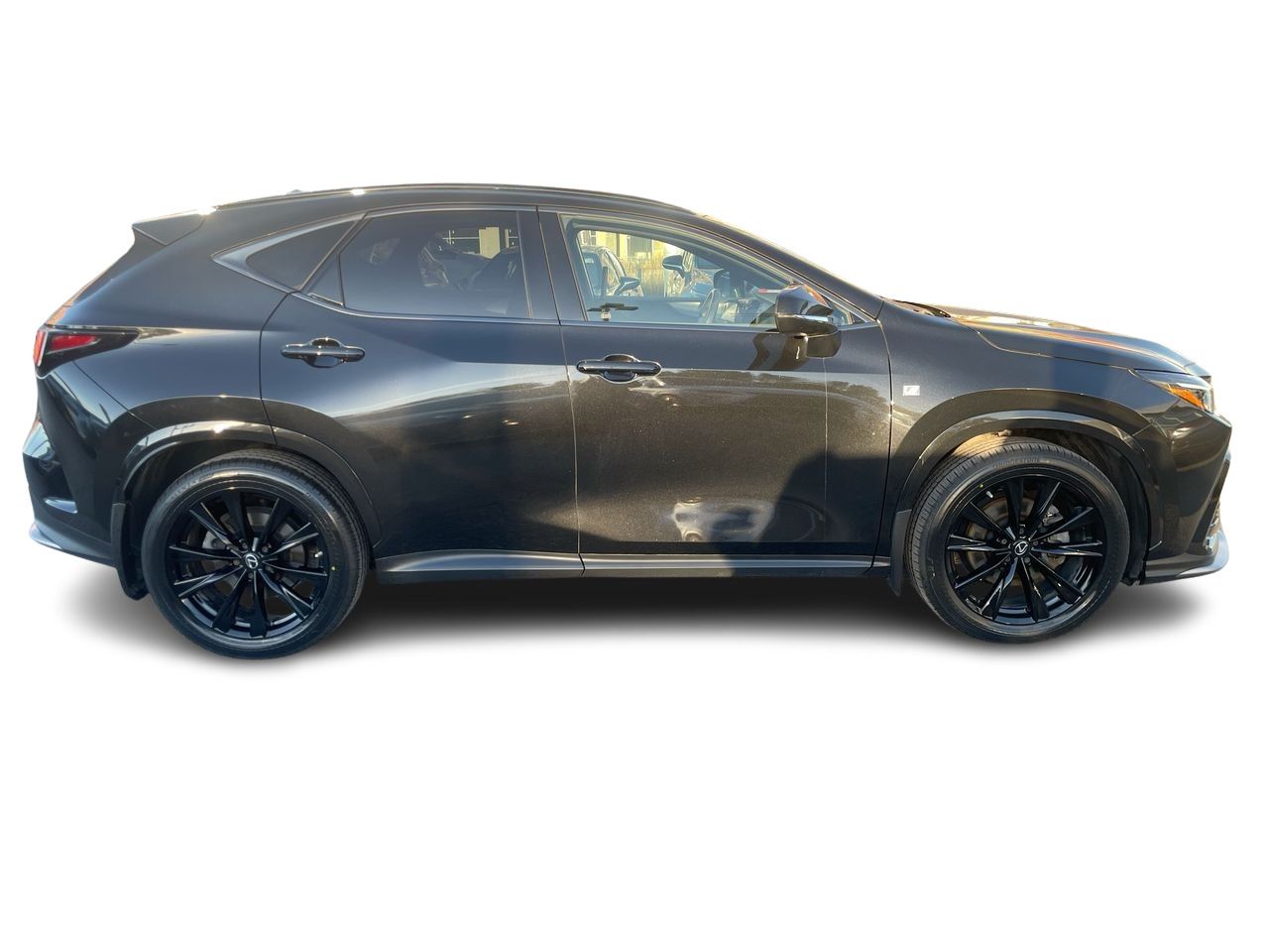Lexus NX  2022