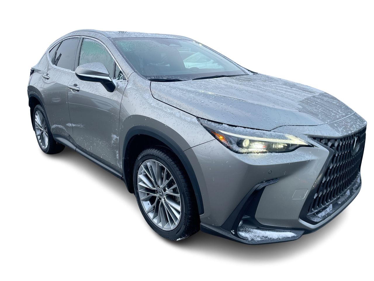 2022 Lexus NX