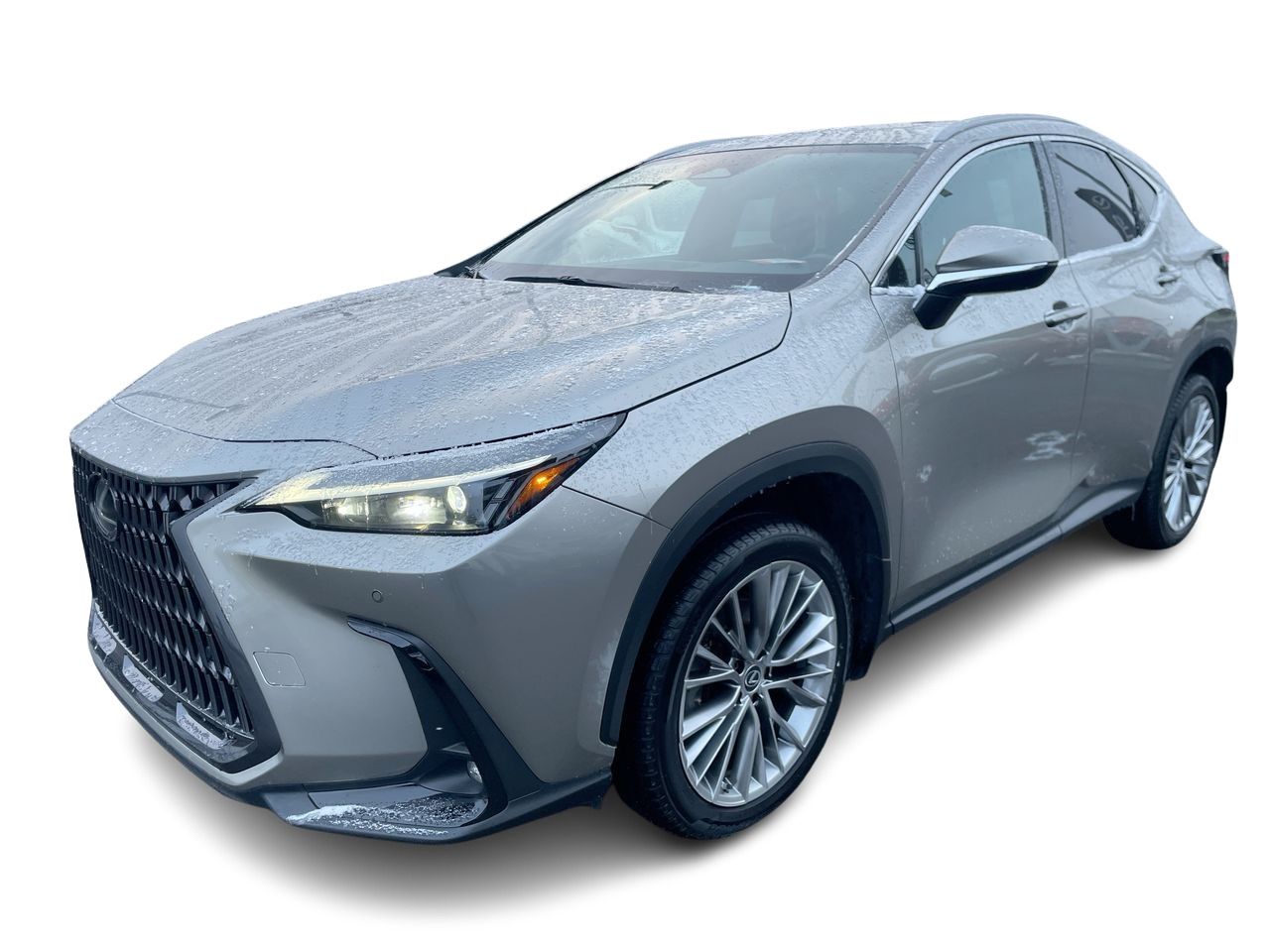 2022 Lexus NX