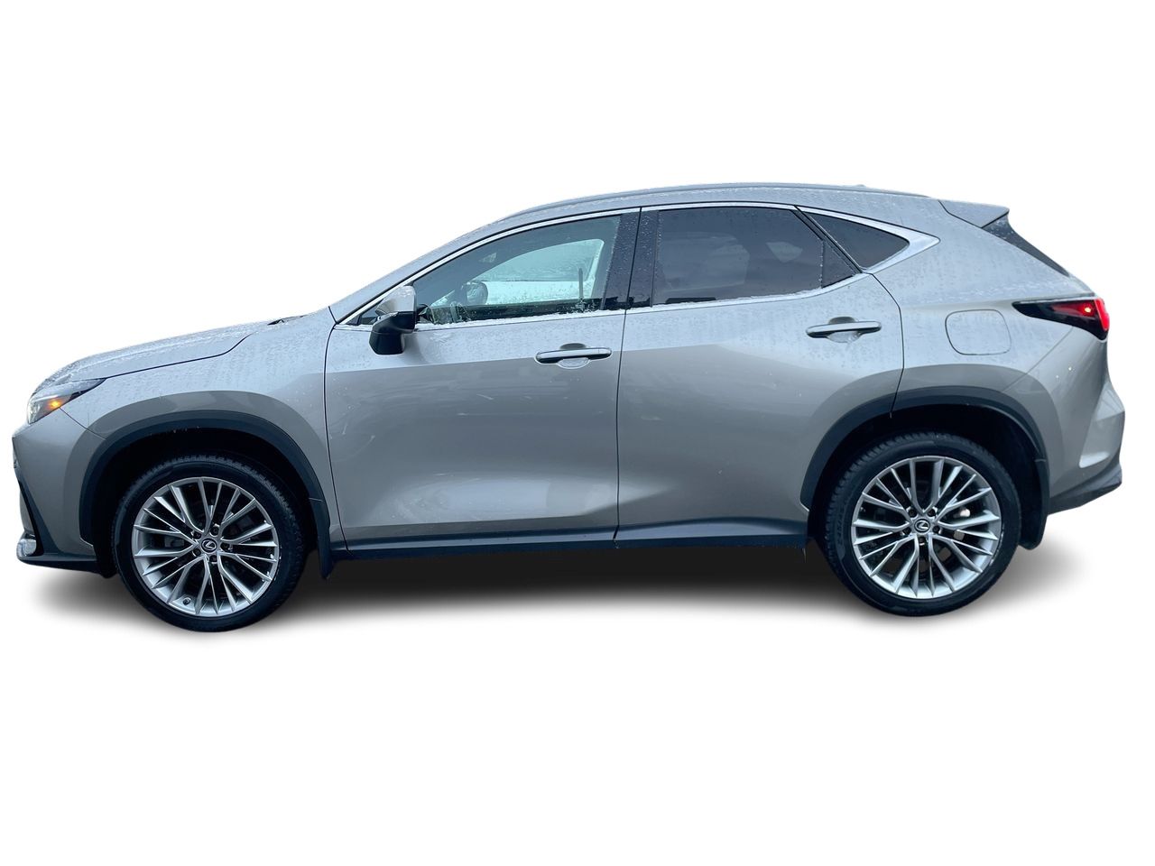 2022 Lexus NX
