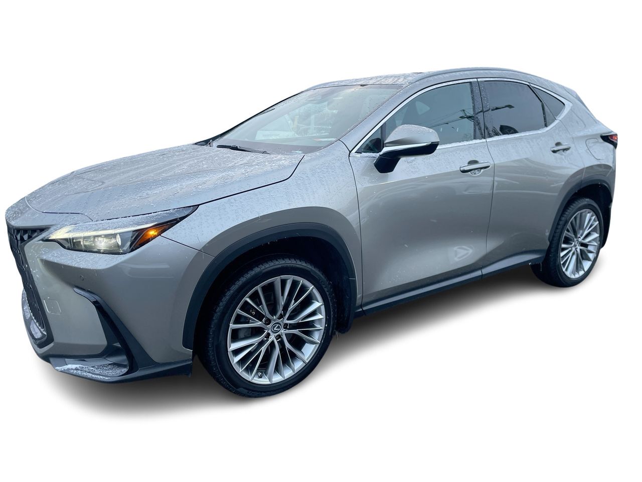2022 Lexus NX