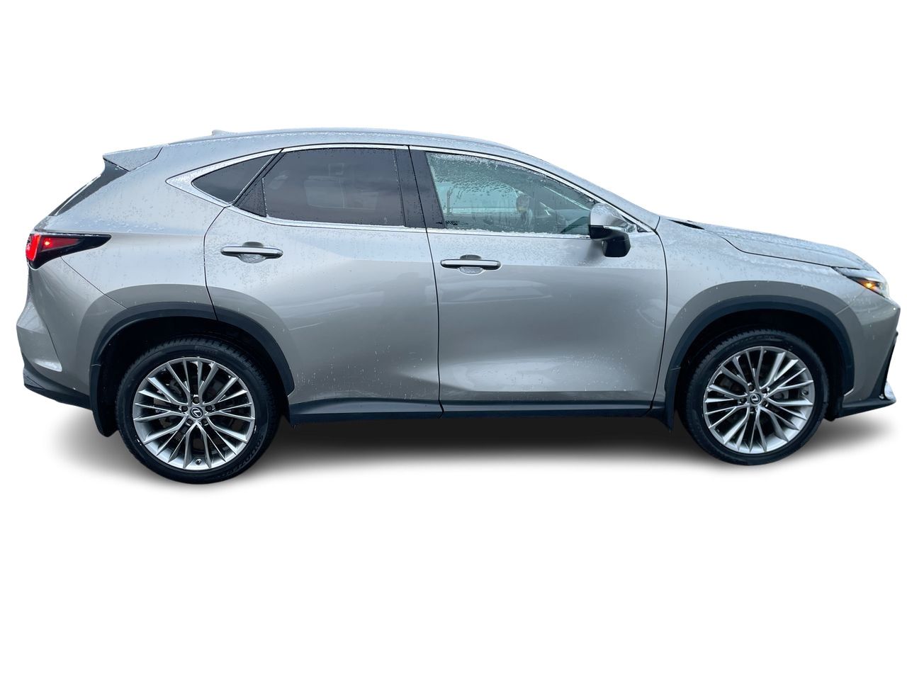 2022 Lexus NX