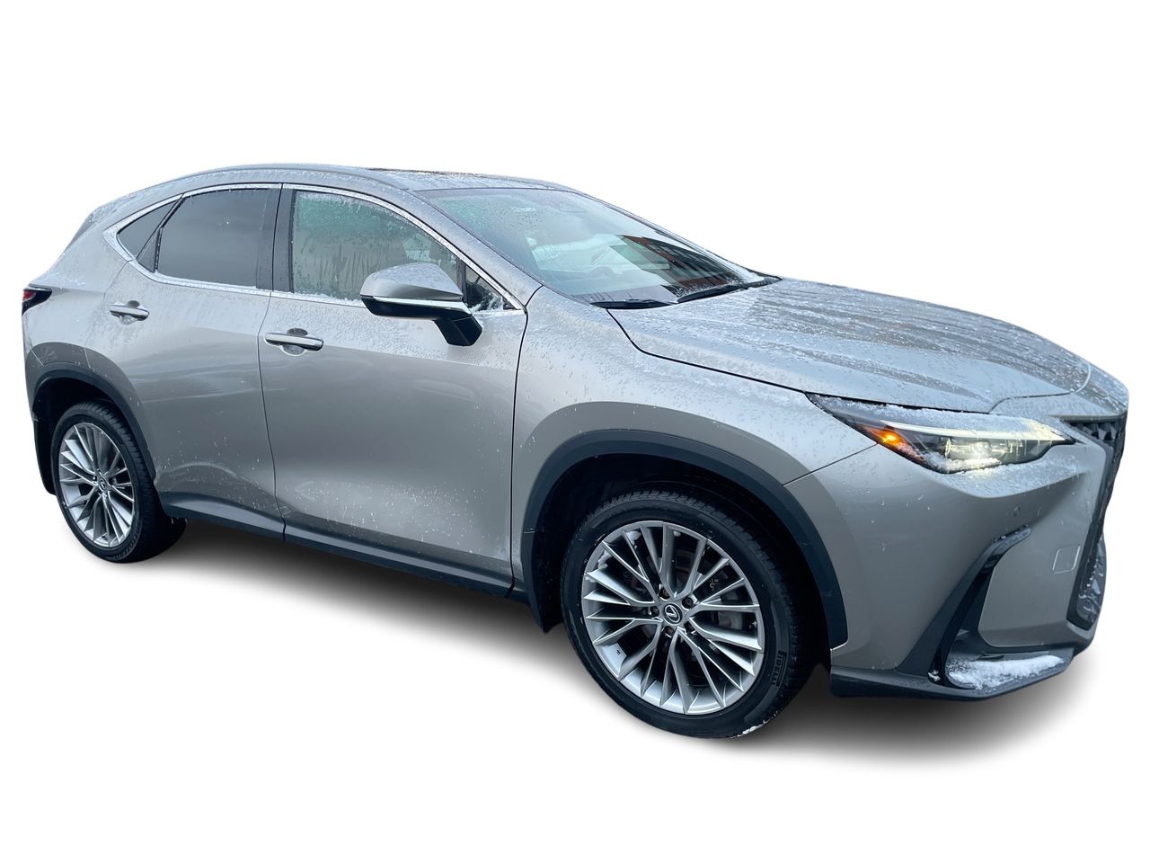 2022 Lexus NX
