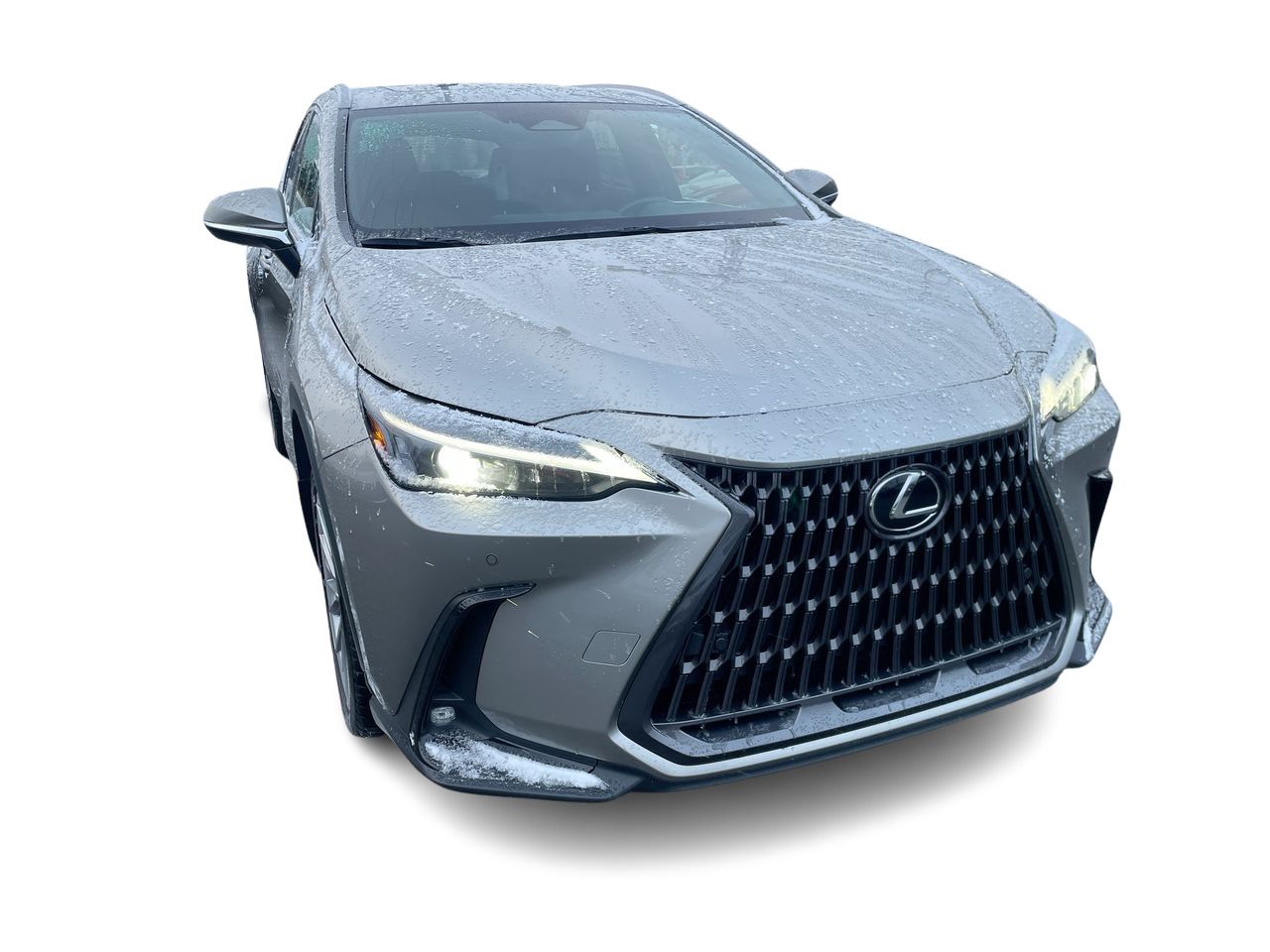 2022 Lexus NX