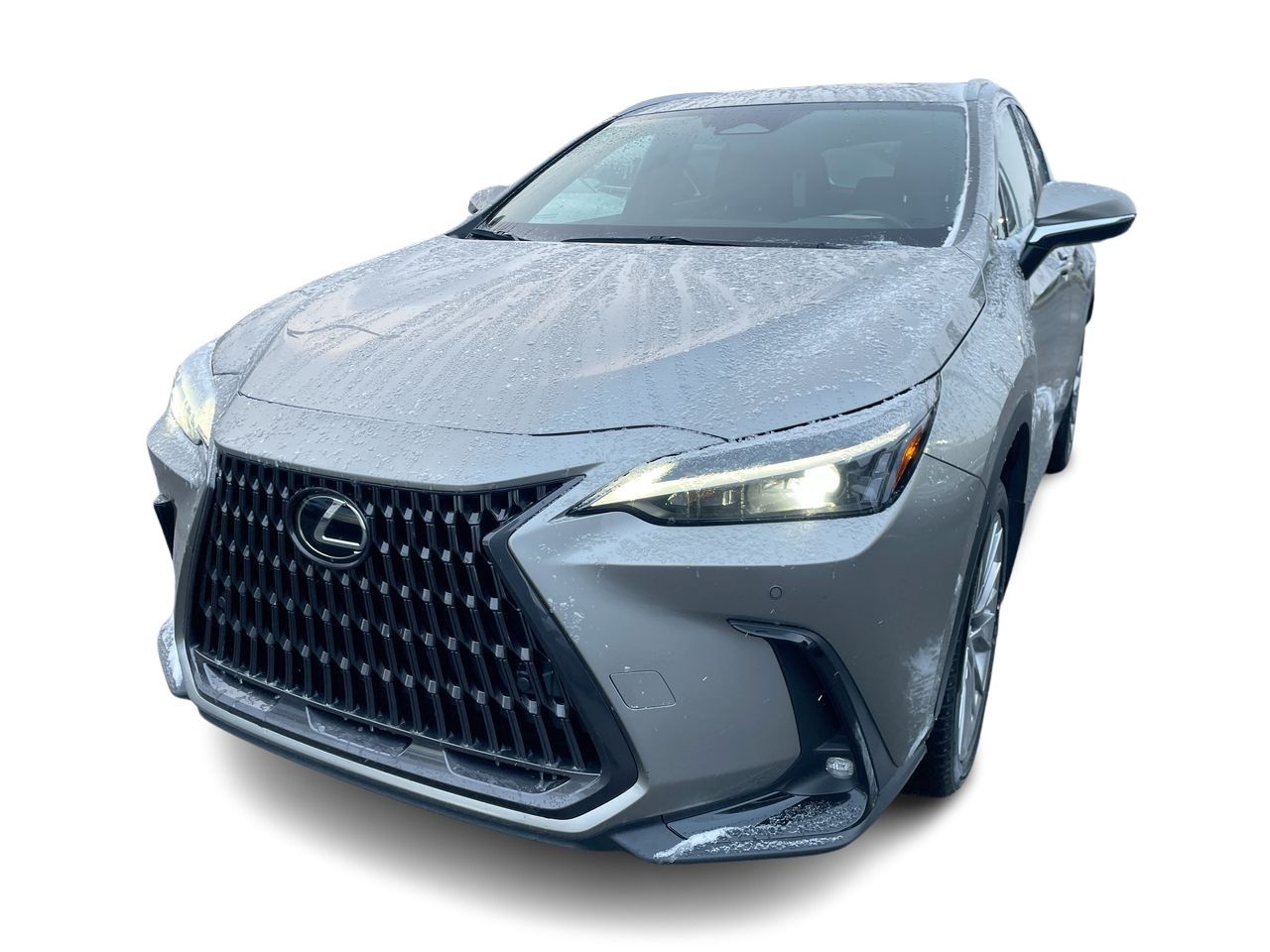 2022 Lexus NX