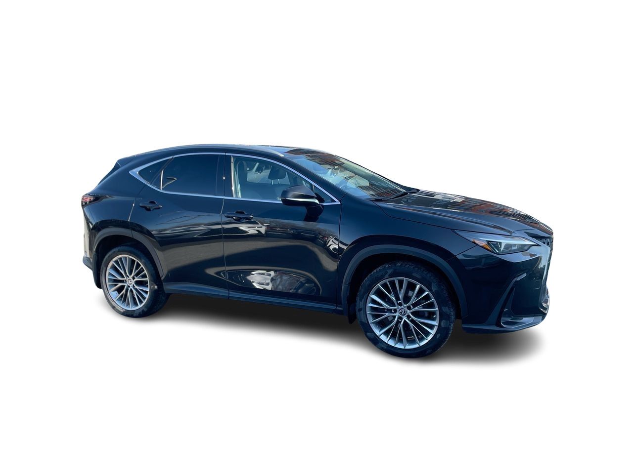 Lexus NX  2022