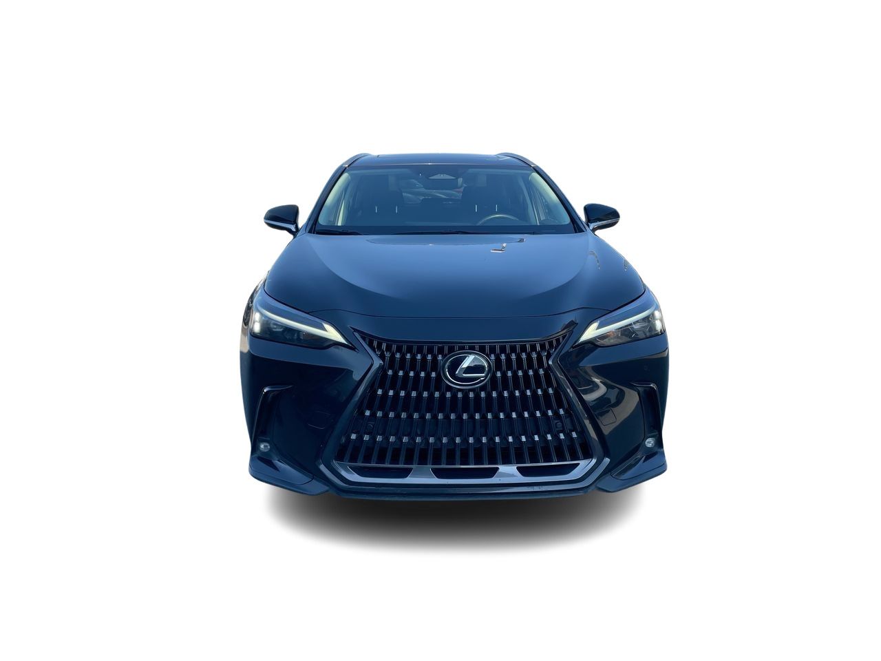 Lexus NX  2022