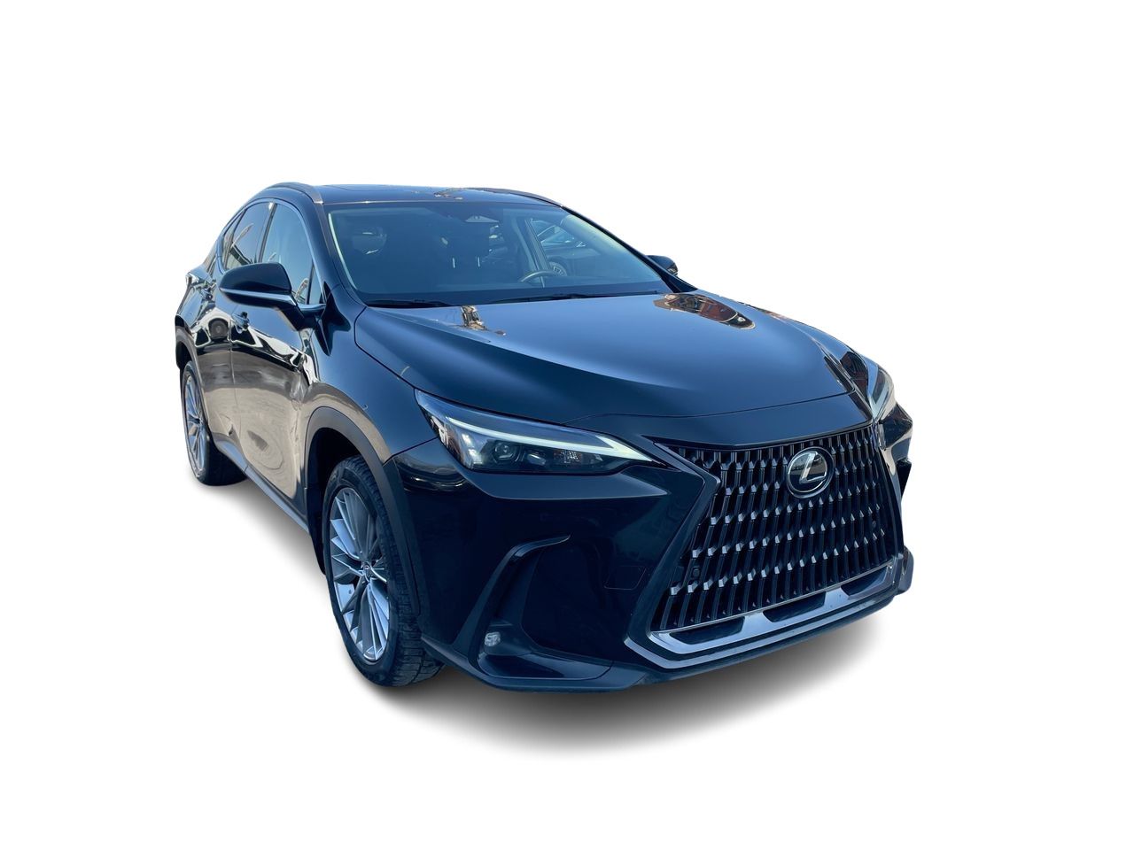 Lexus NX  2022