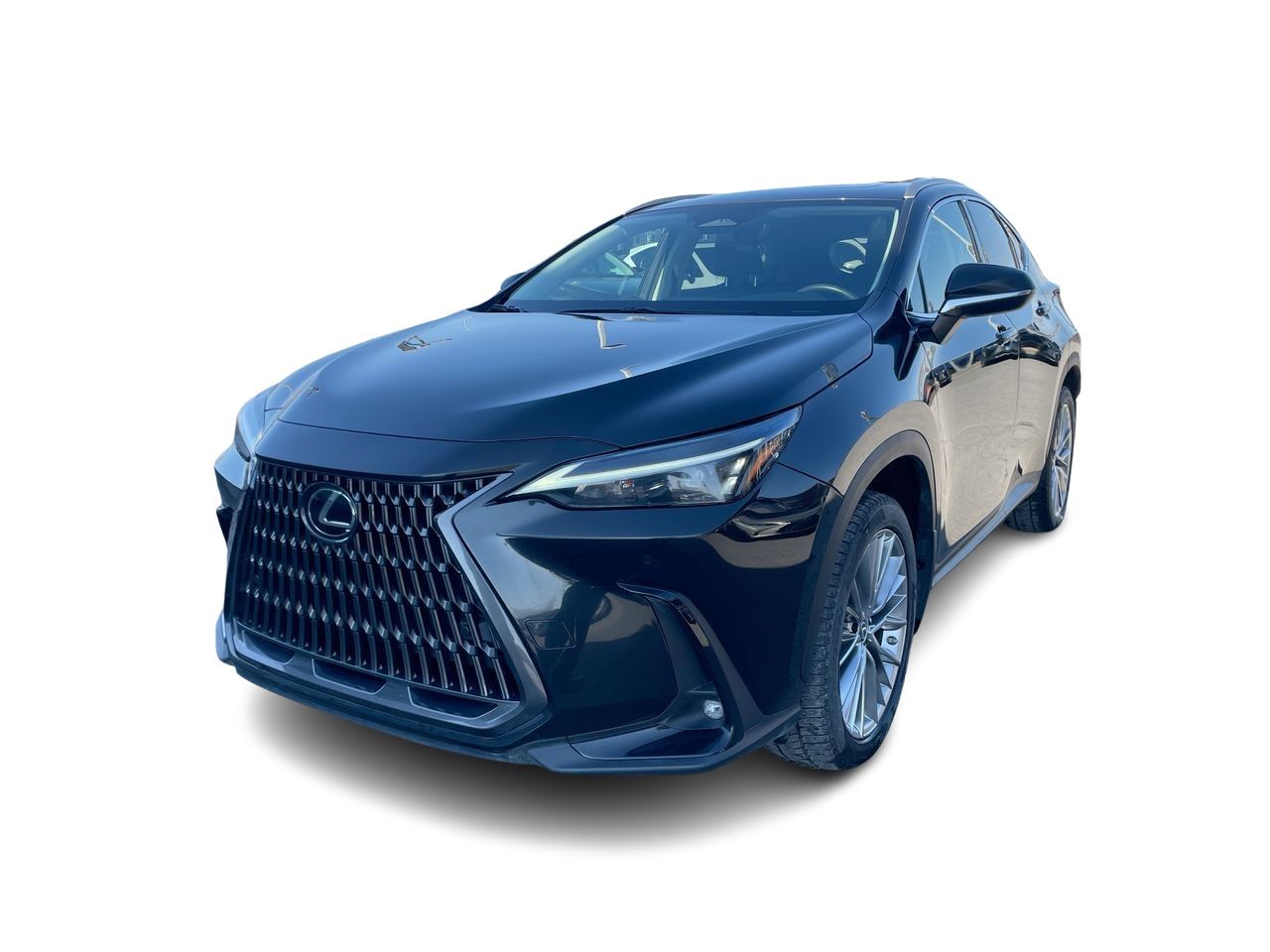 Lexus NX  2022