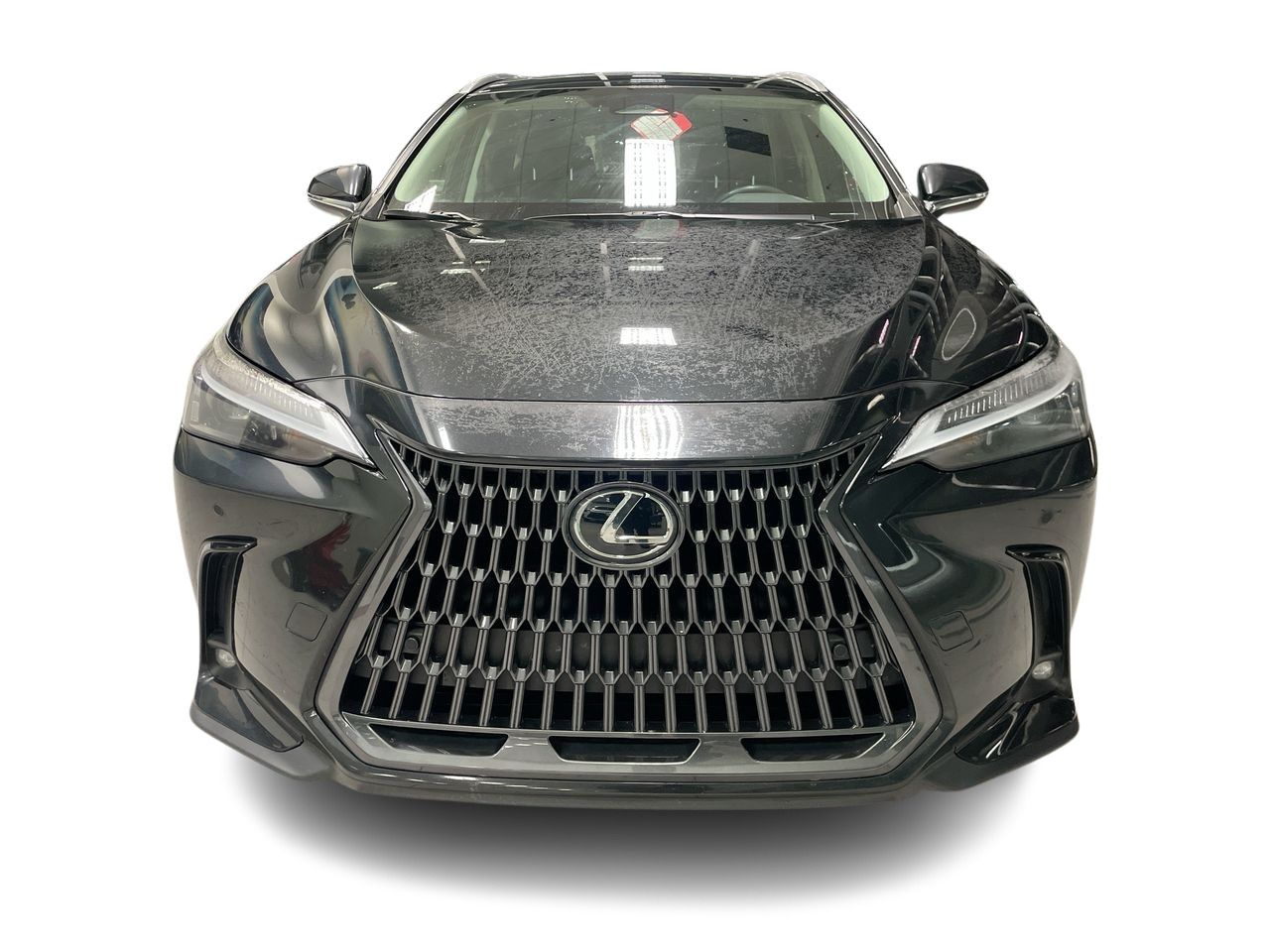 2022 Lexus NX