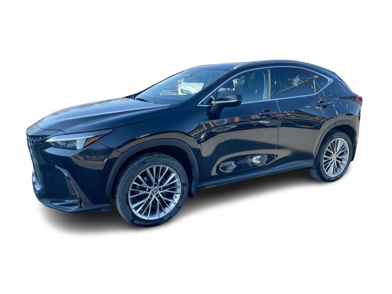 Lexus NX  2022