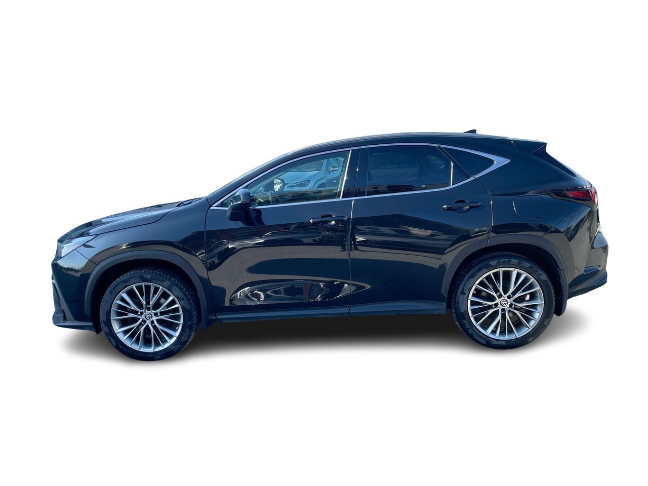 Lexus NX  2022