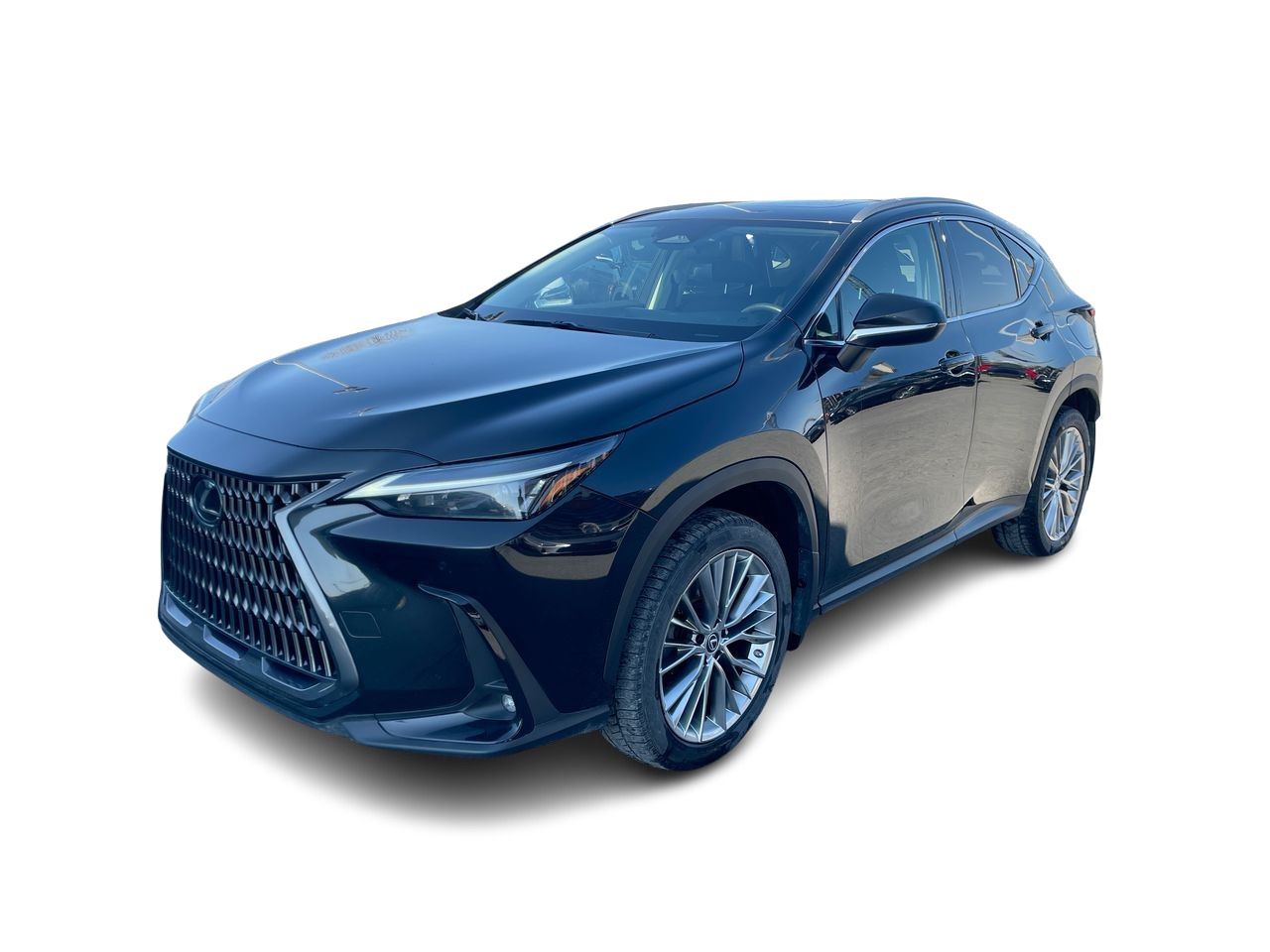 Lexus NX  2022