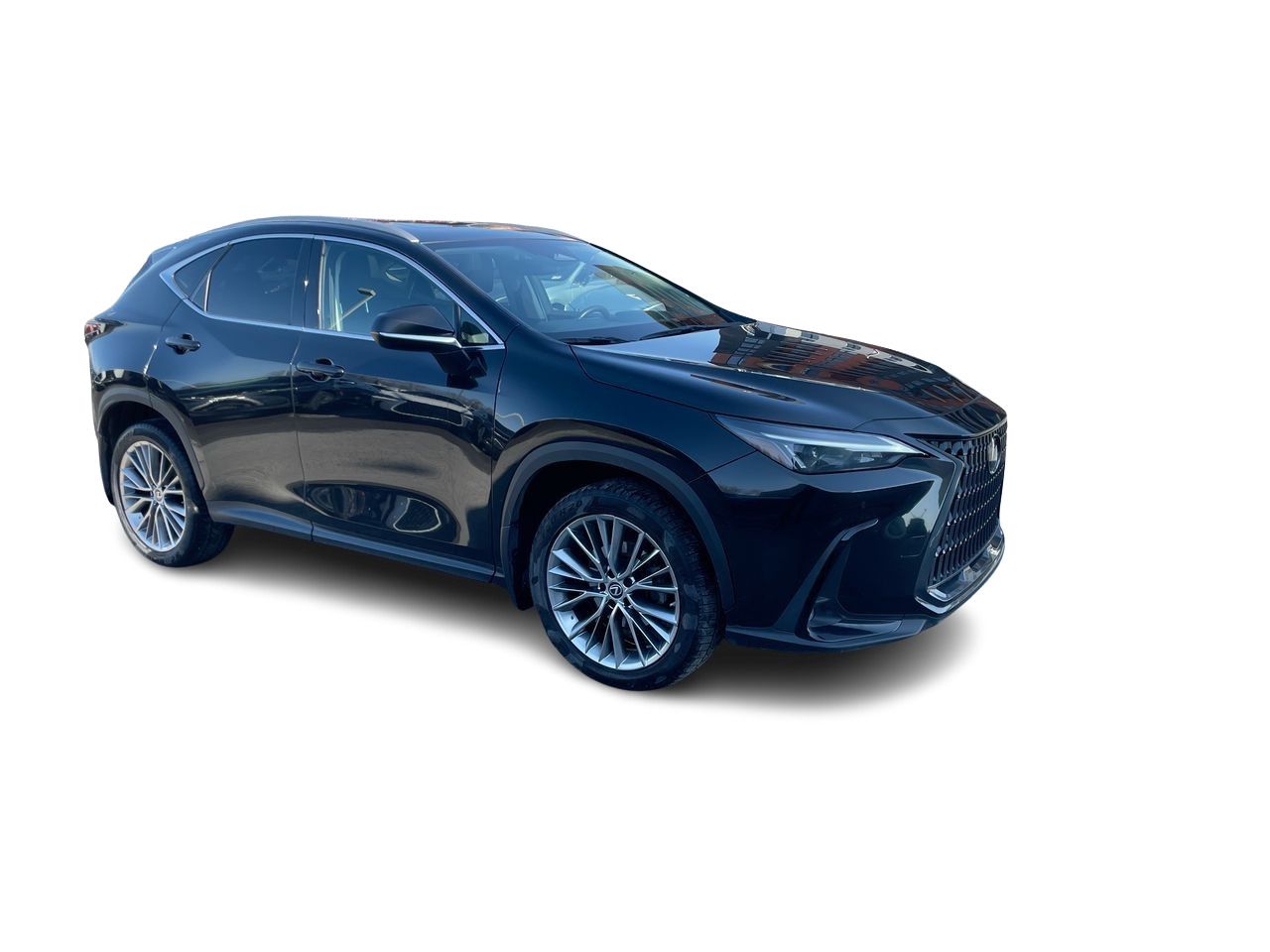 Lexus NX  2022