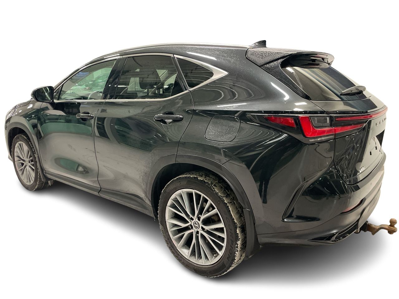 2022 Lexus NX
