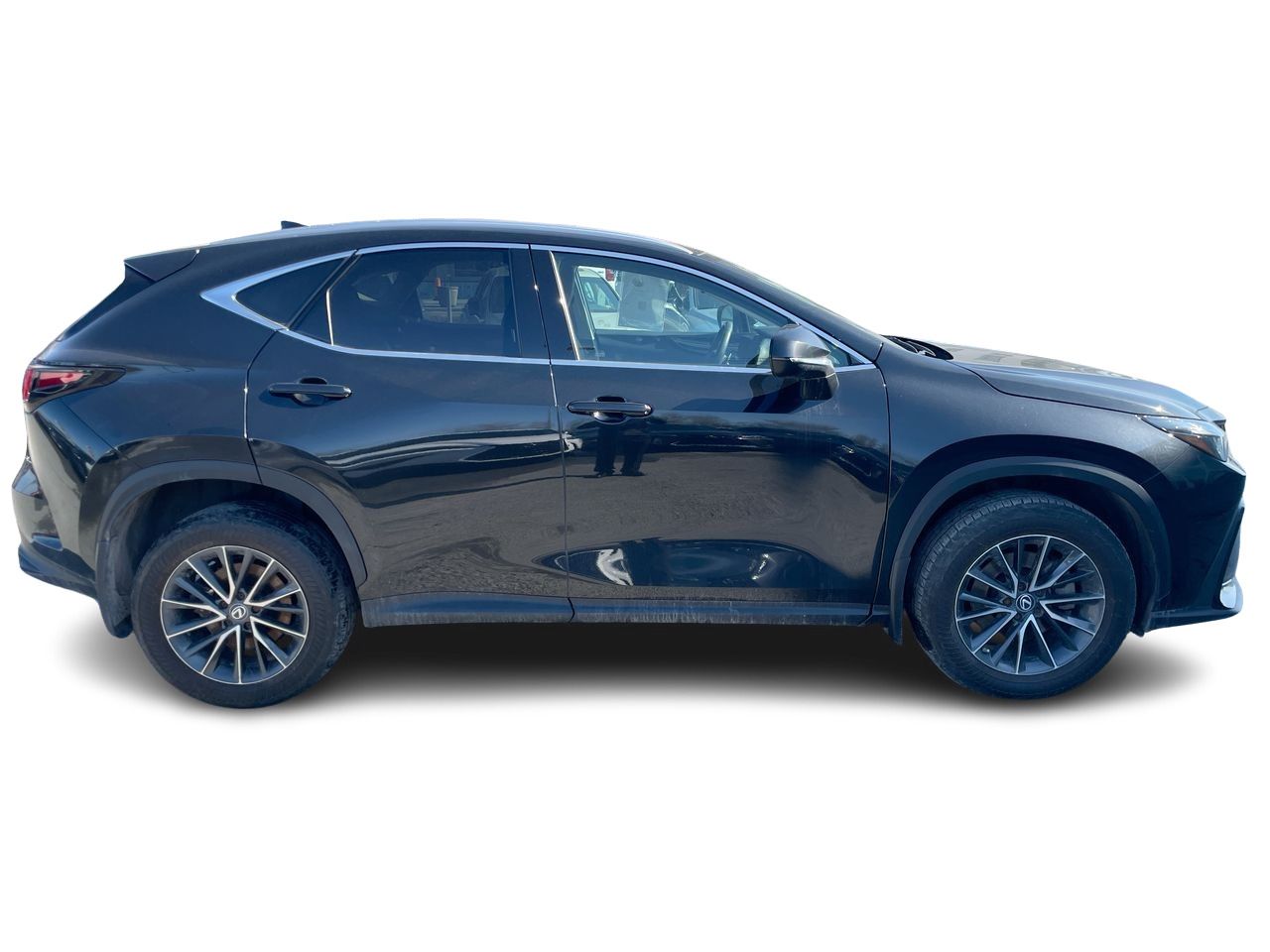 Lexus NX  2022