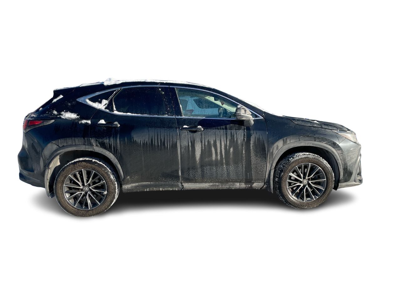 Lexus NX  2022