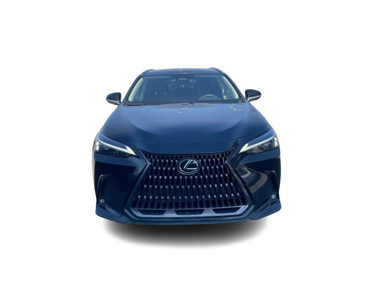 Lexus NX  2022