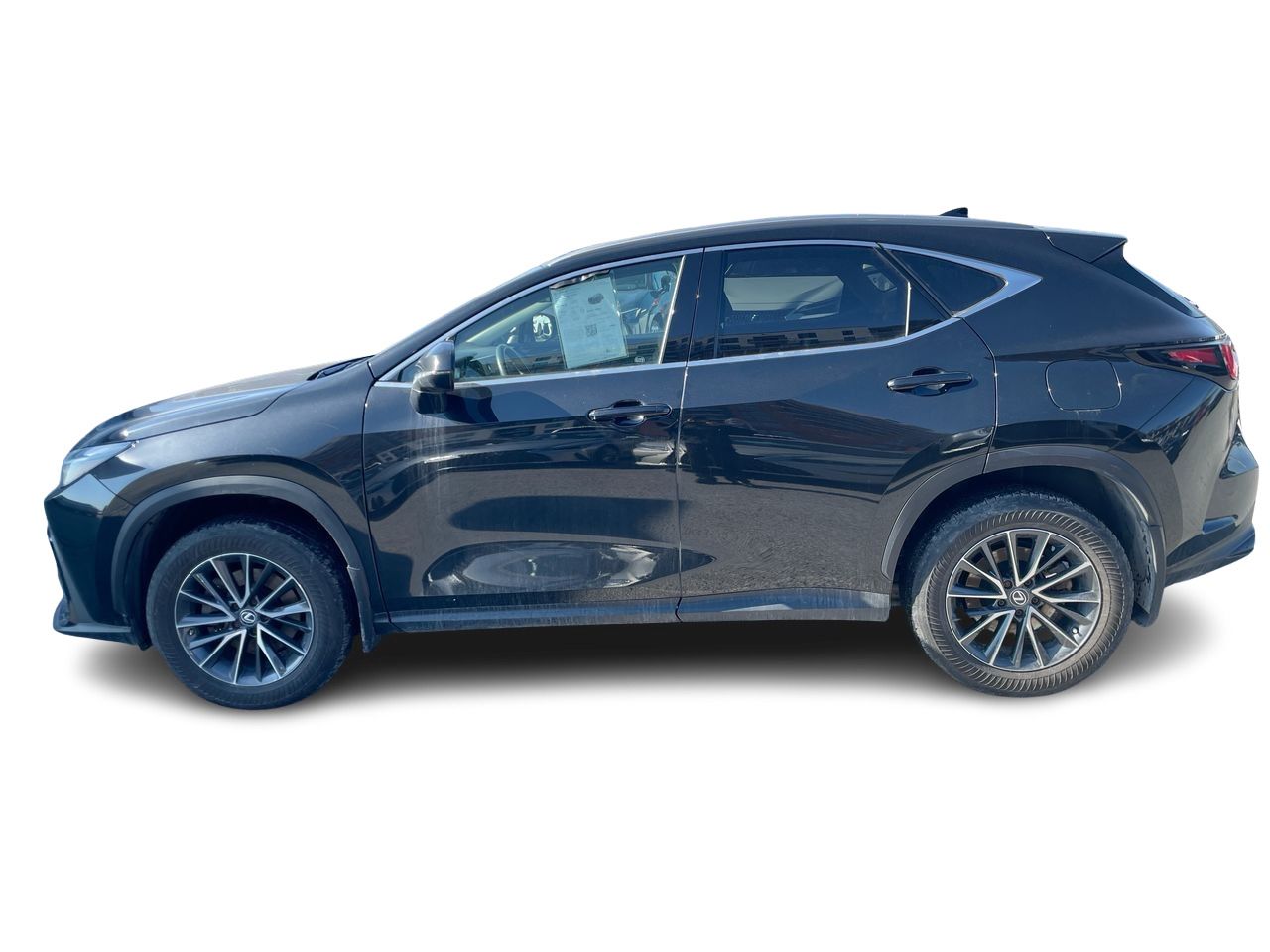 Lexus NX  2022