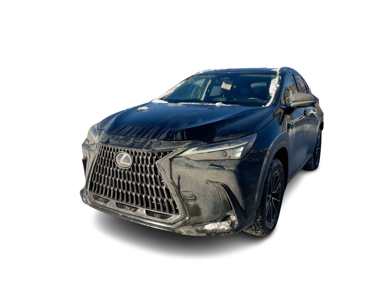 Lexus NX  2022