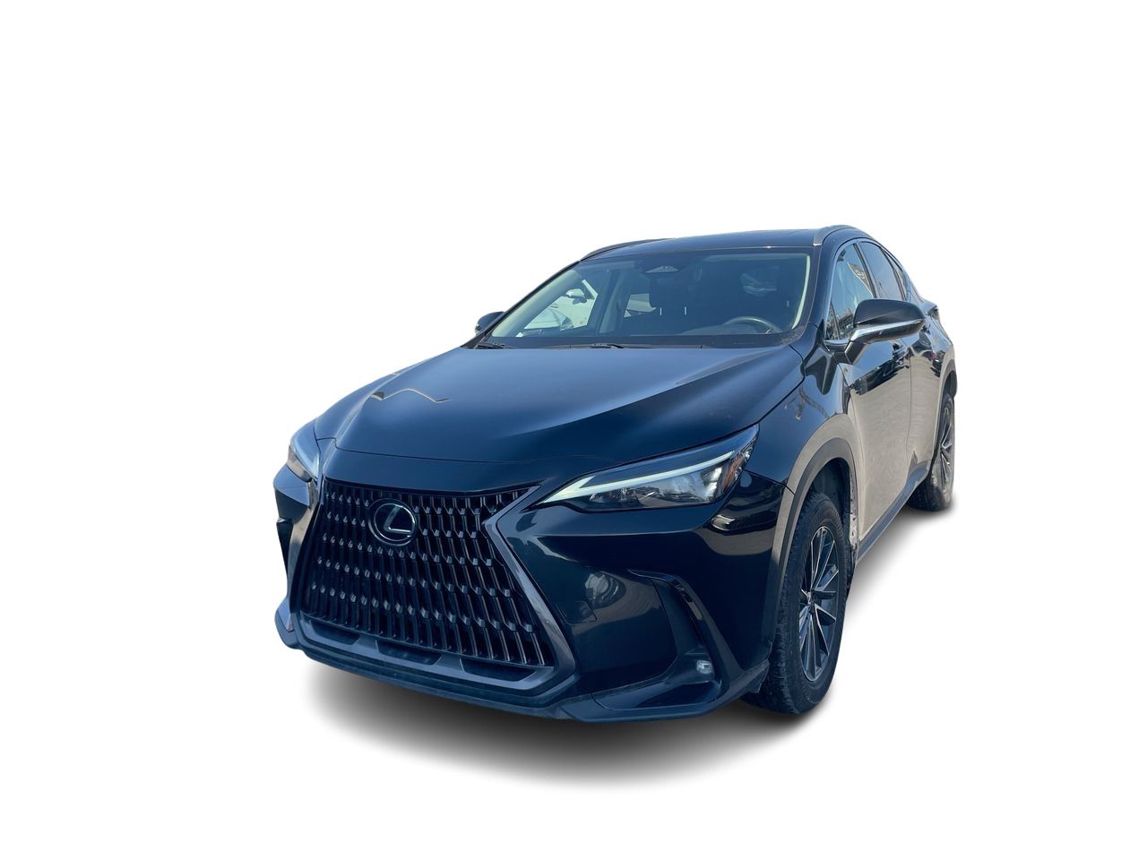 Lexus NX  2022
