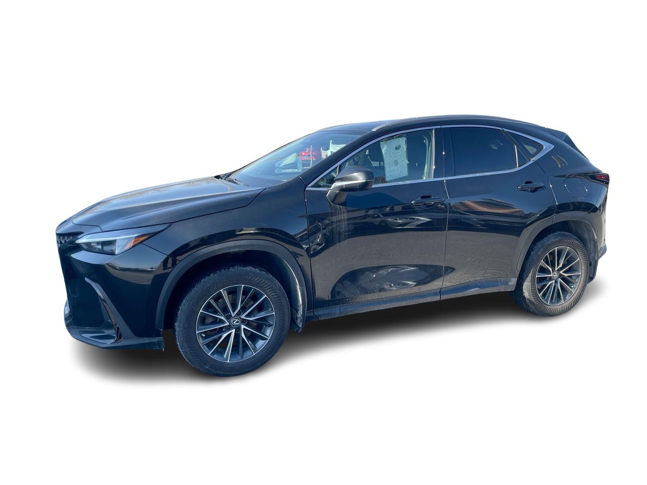 Lexus NX  2022