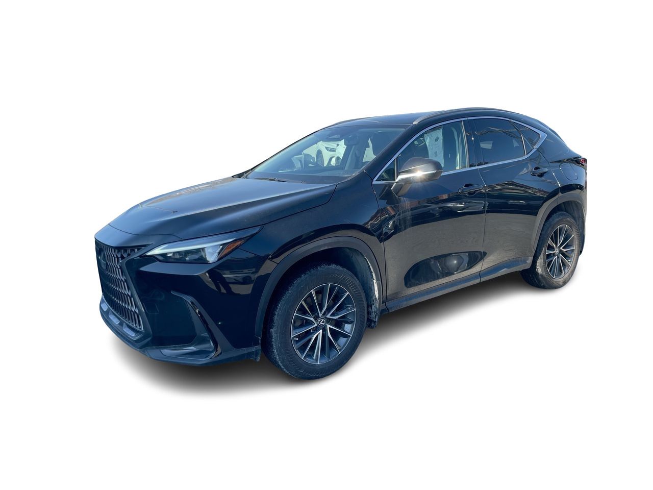 Lexus NX  2022