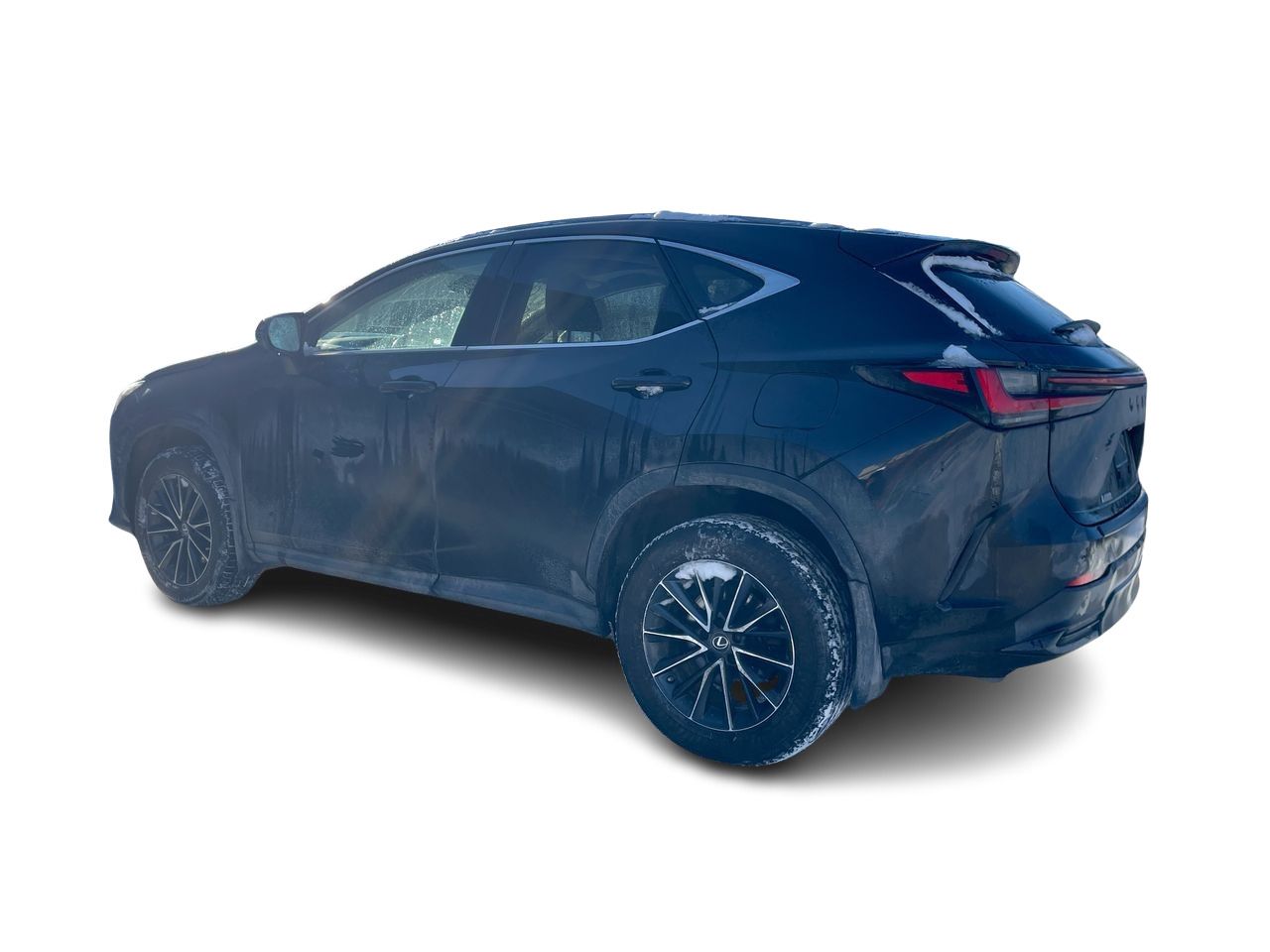 Lexus NX  2022