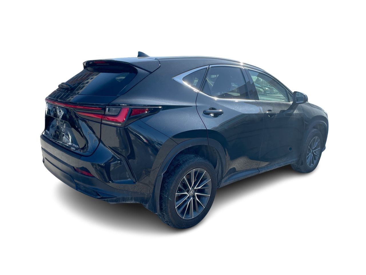 Lexus NX  2022