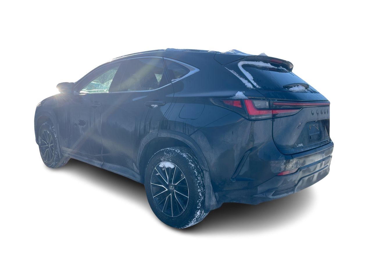 Lexus NX  2022