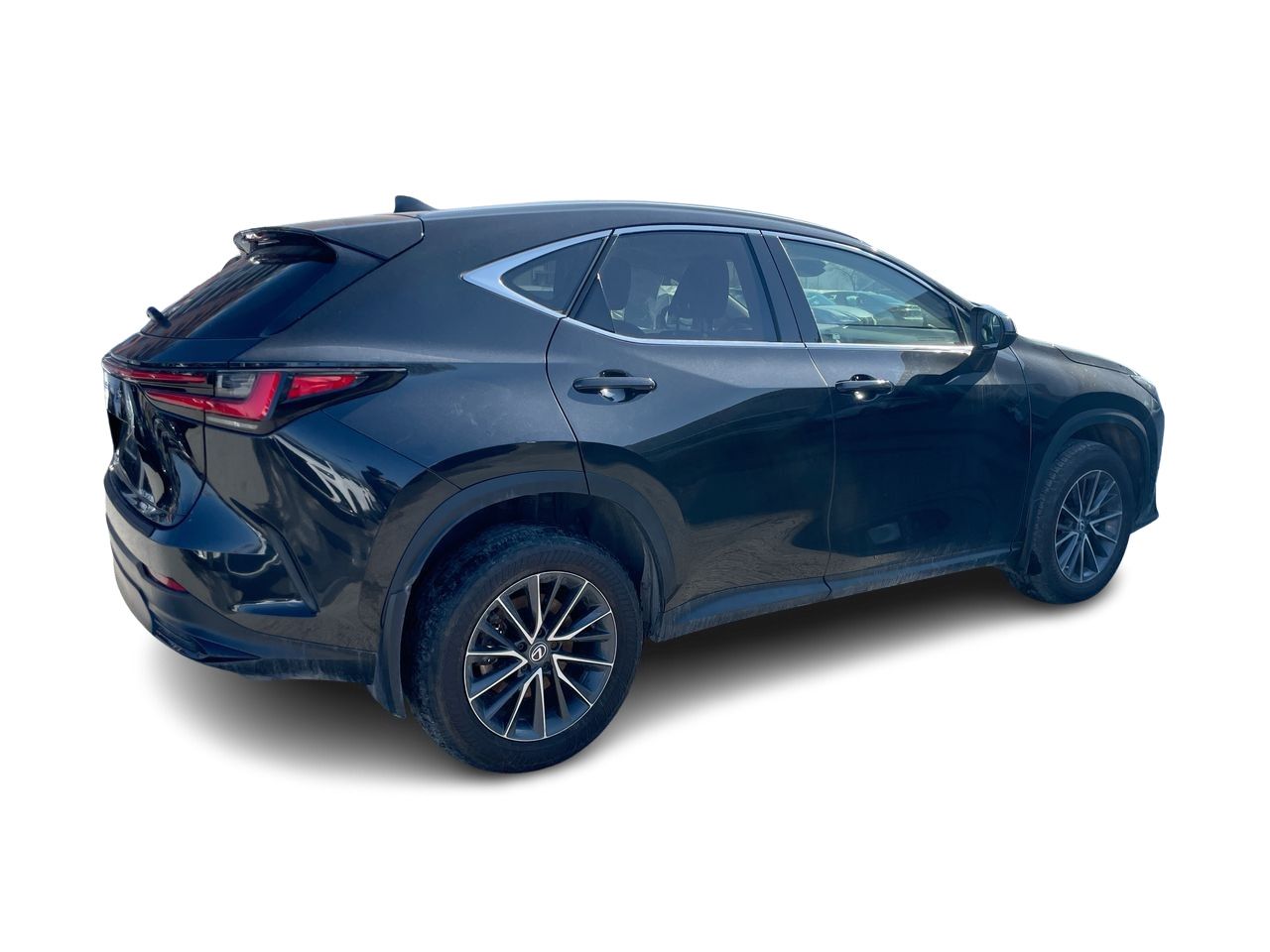 Lexus NX  2022