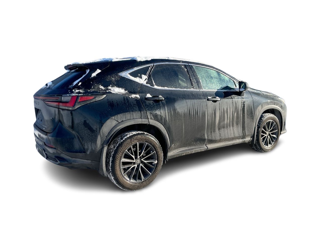 Lexus NX  2022