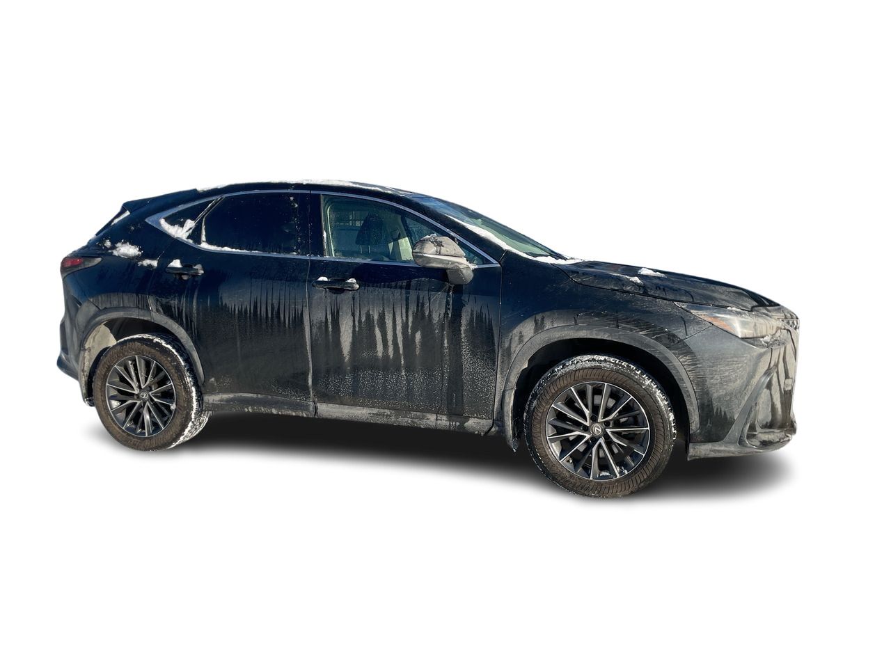 Lexus NX  2022