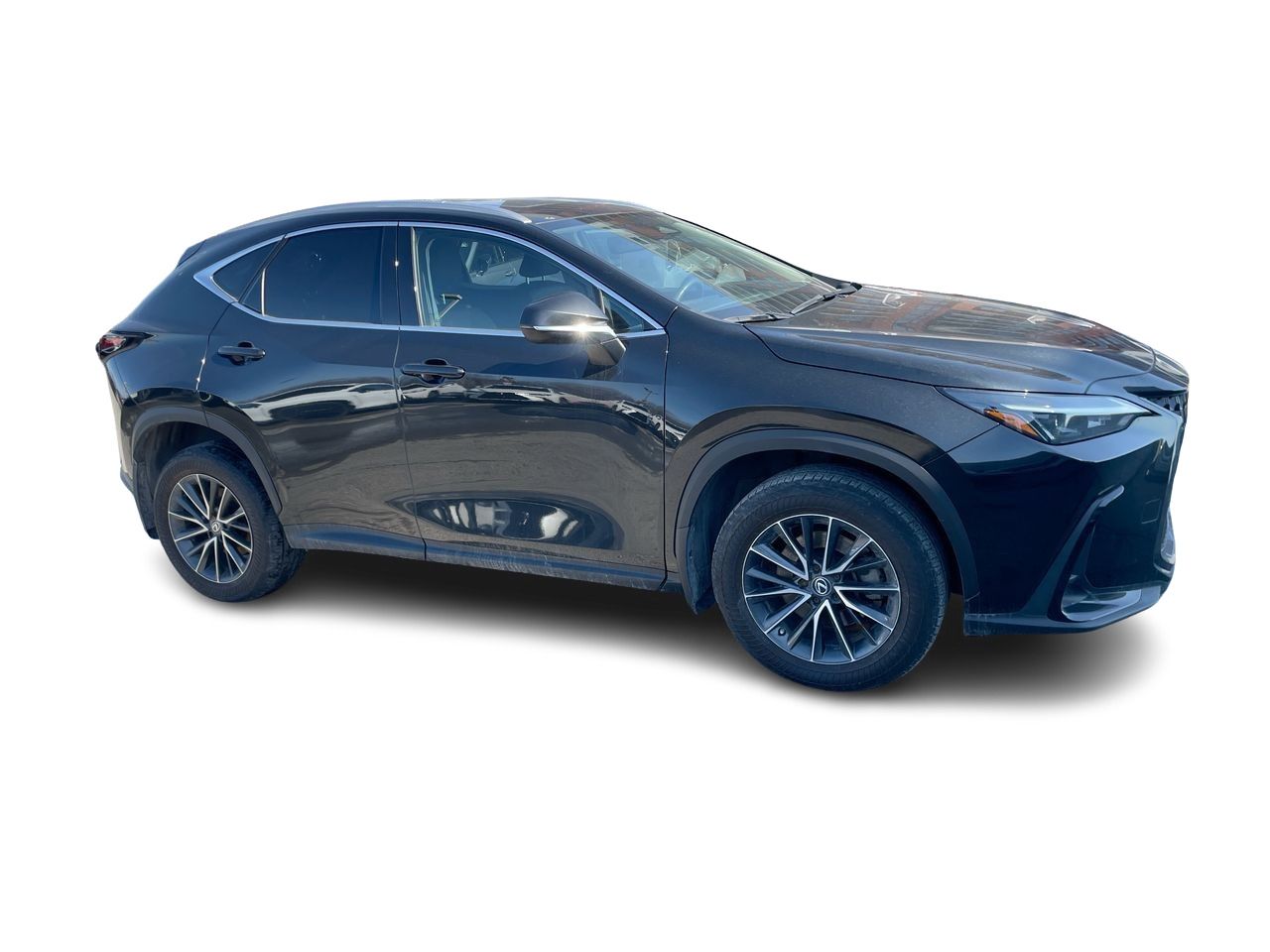 Lexus NX  2022