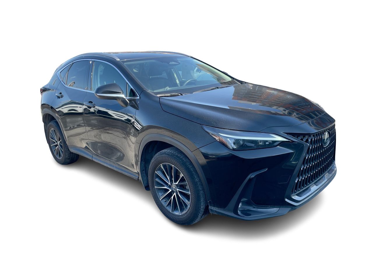 Lexus NX  2022