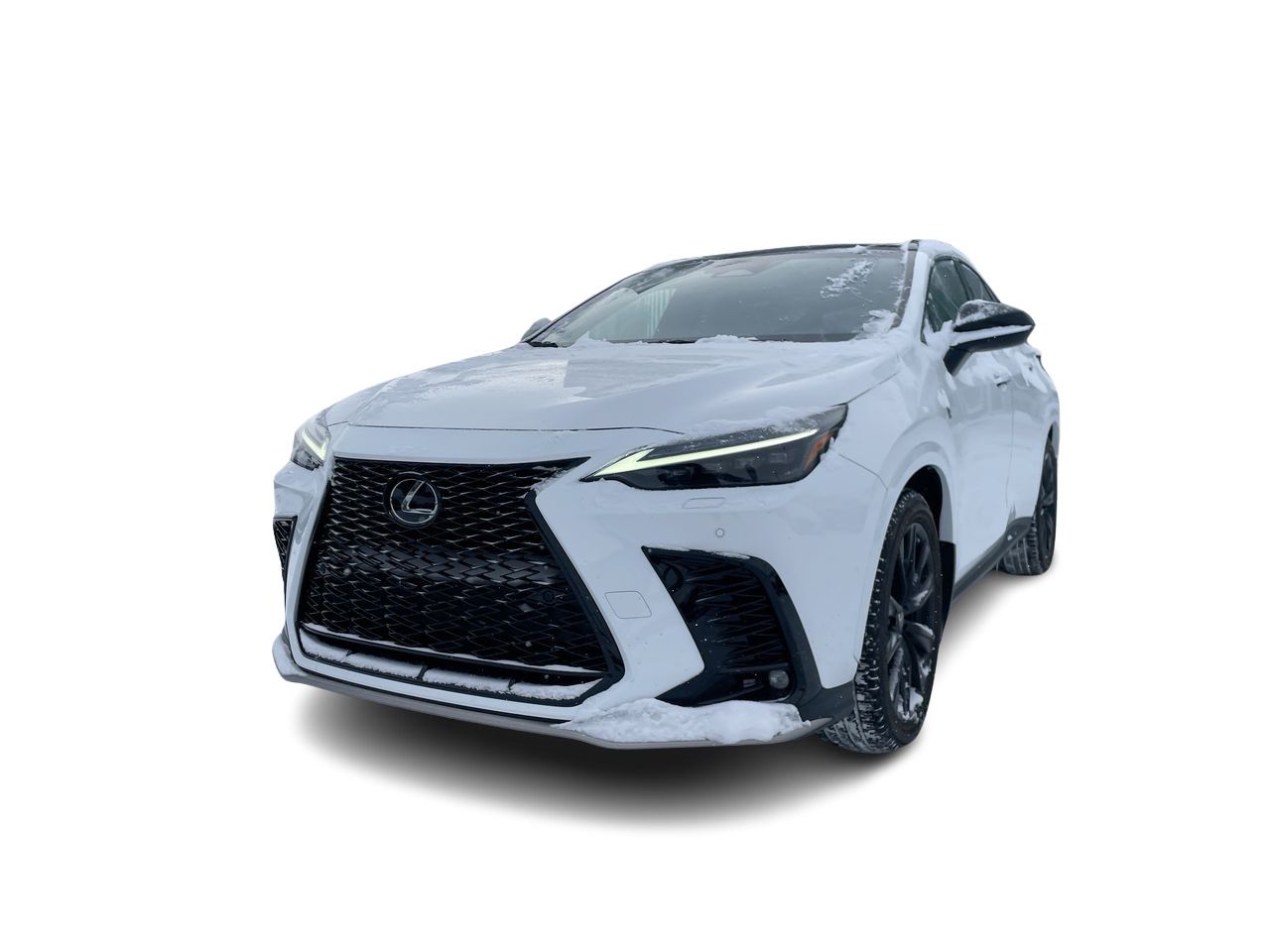 2022 Lexus NX
